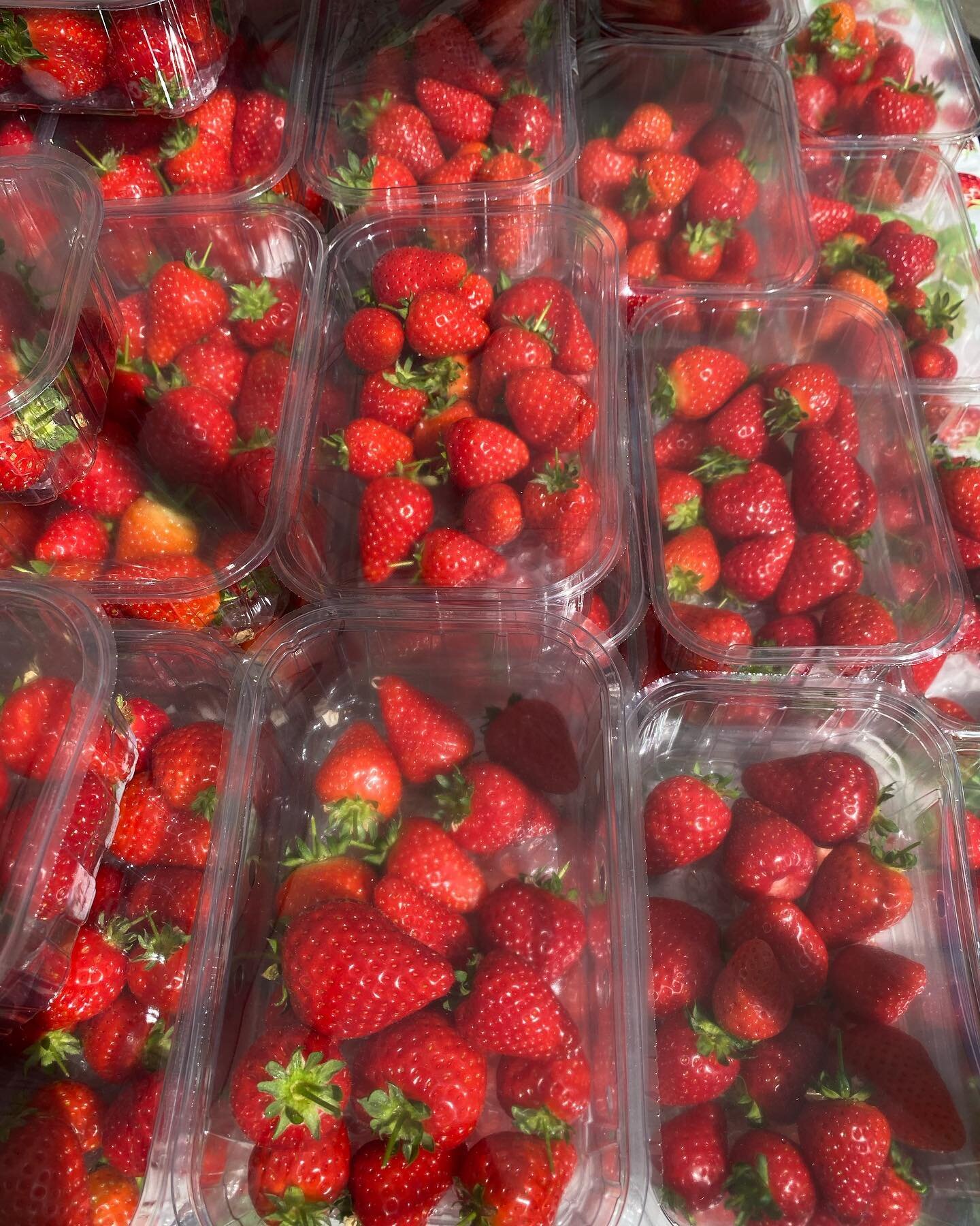 Which stall do you think we might be excited to welcome back this month? 

We&rsquo;ll give you three guesses.. 

🍓👀