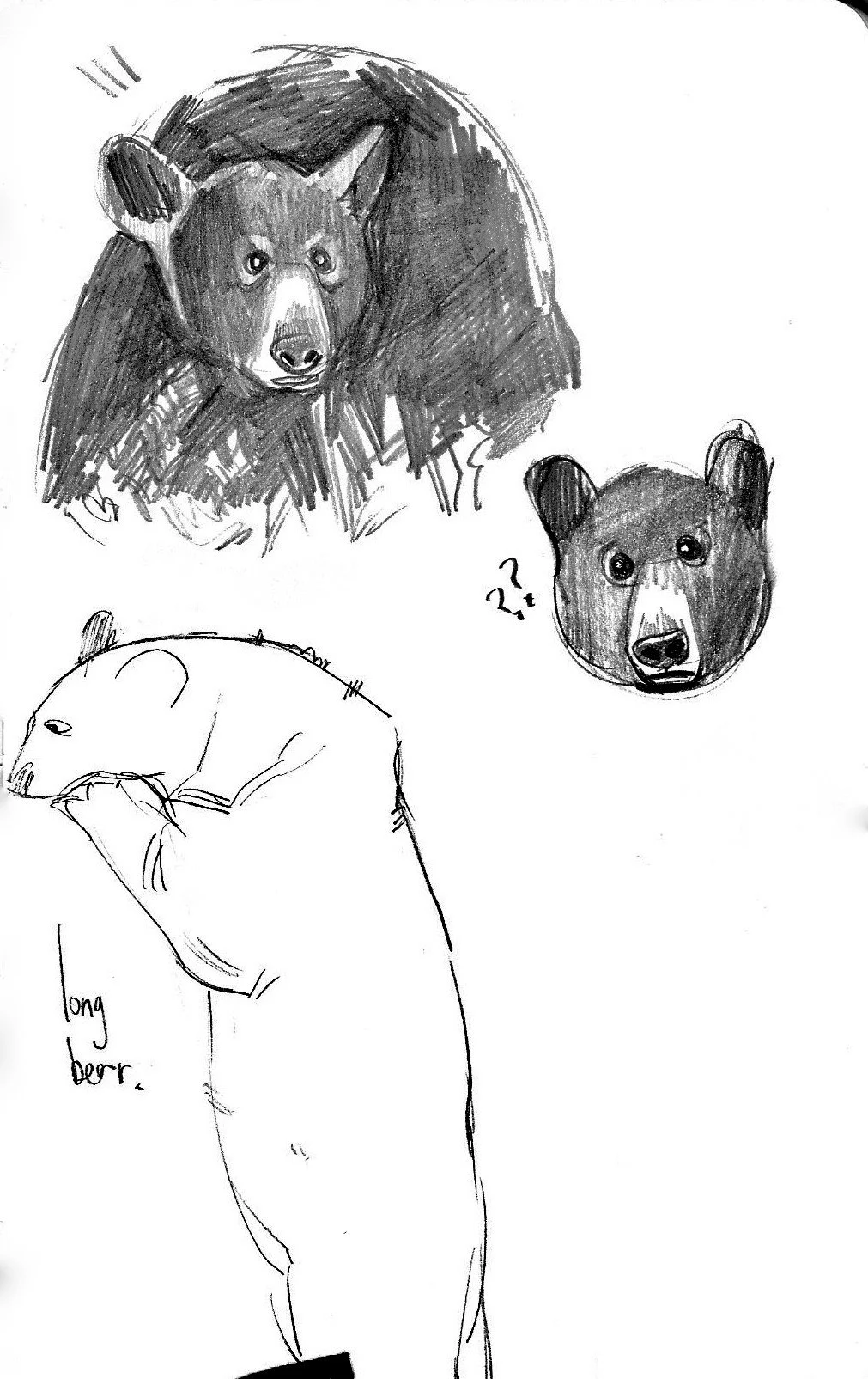 sketches scan 4.jpeg