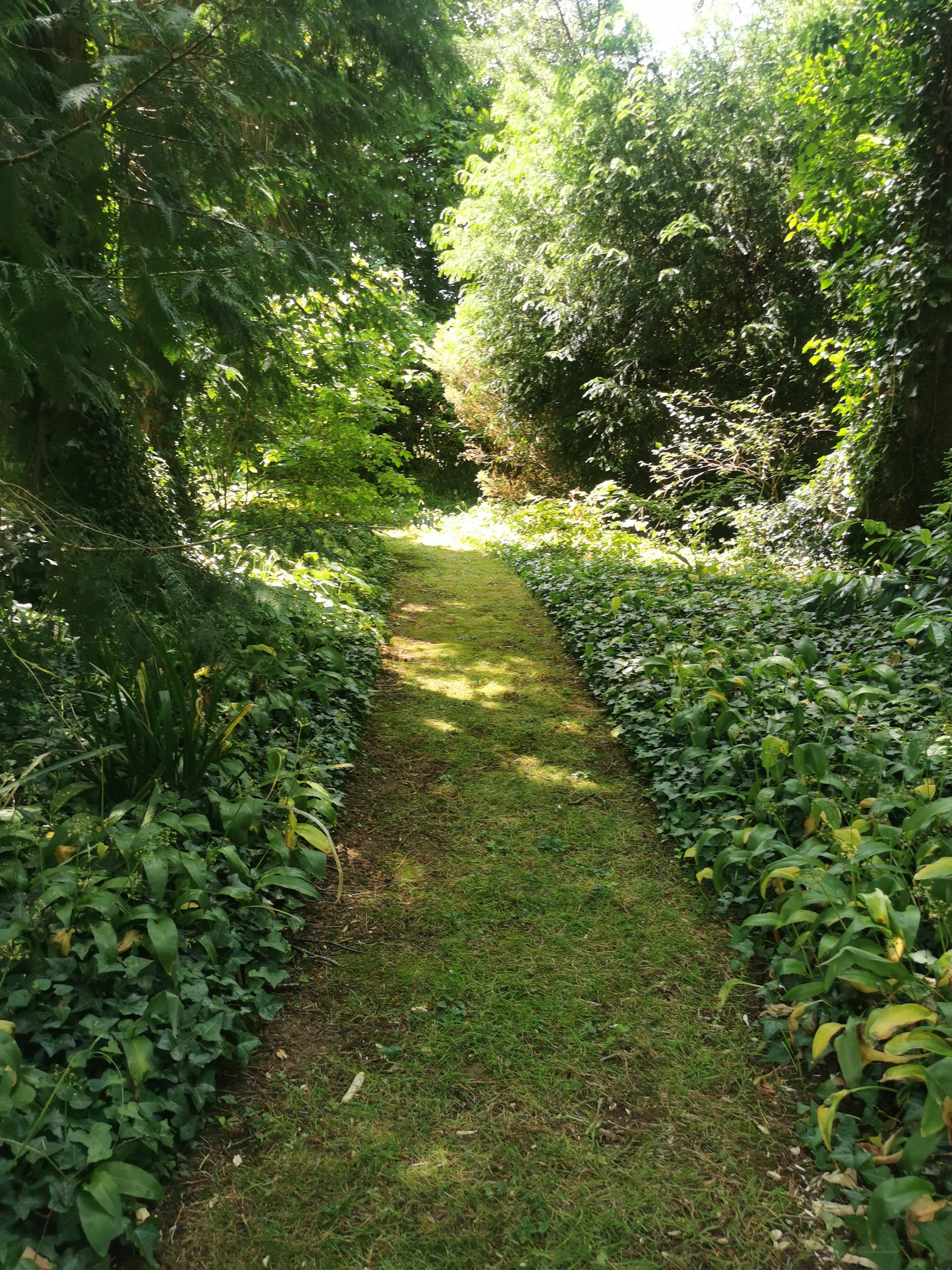 The Joy and Importance of Visiting Gardens