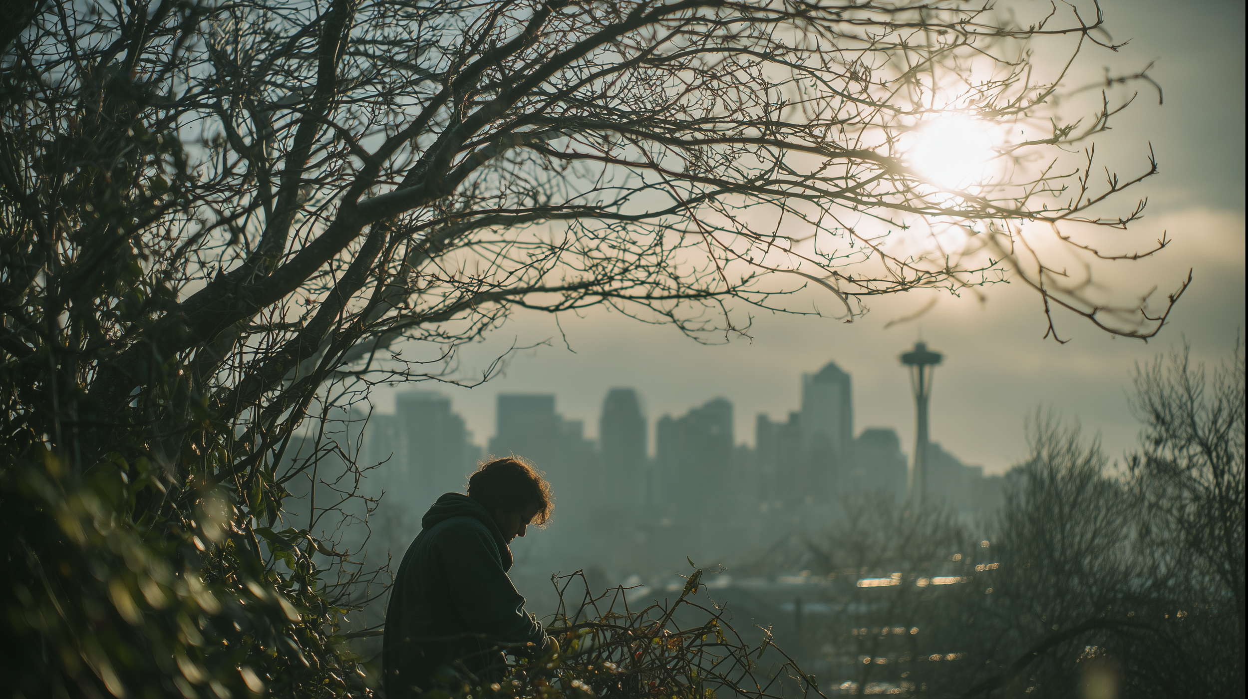 Real Estate in January Is Quiet, But the Seattle Market Isn’t Sleeping