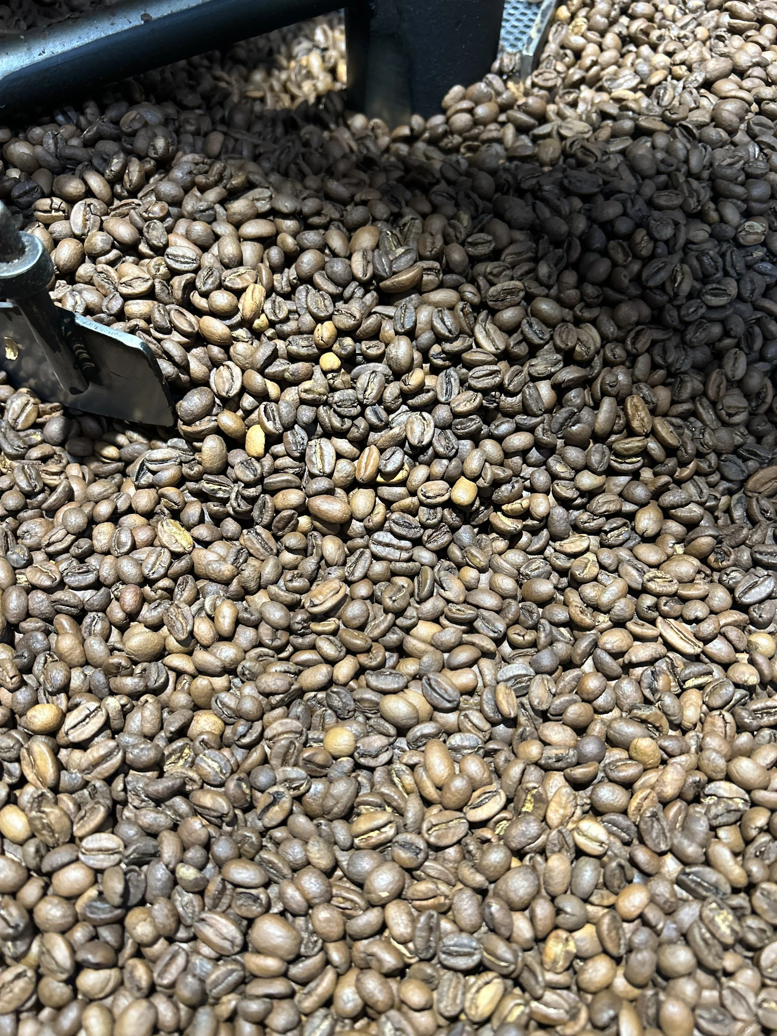 Ethically Sourced Coffee by Civic Roasters