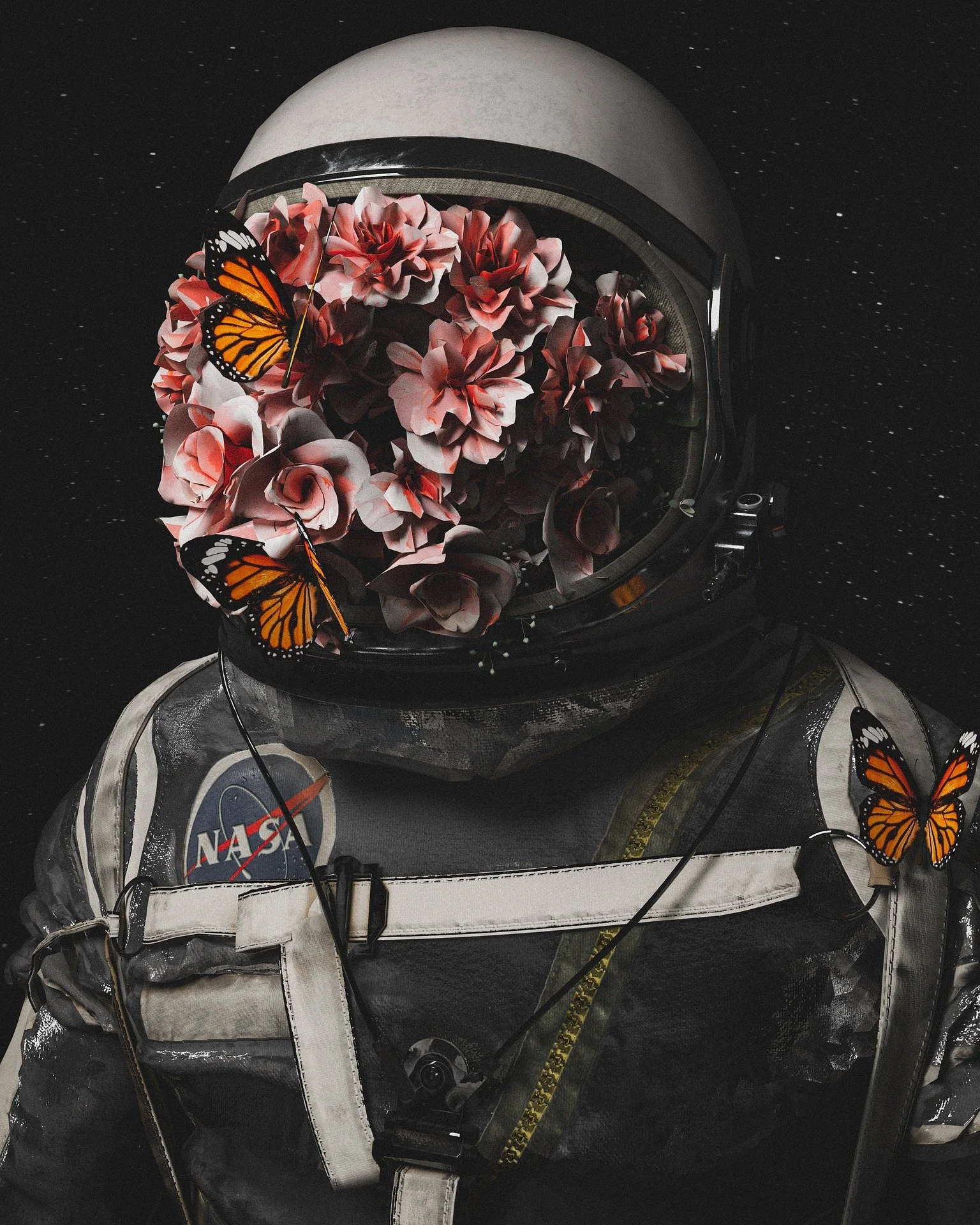 astronaut-gde5937350_1920.jpg