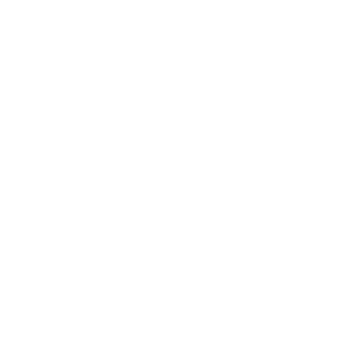 nivida.png