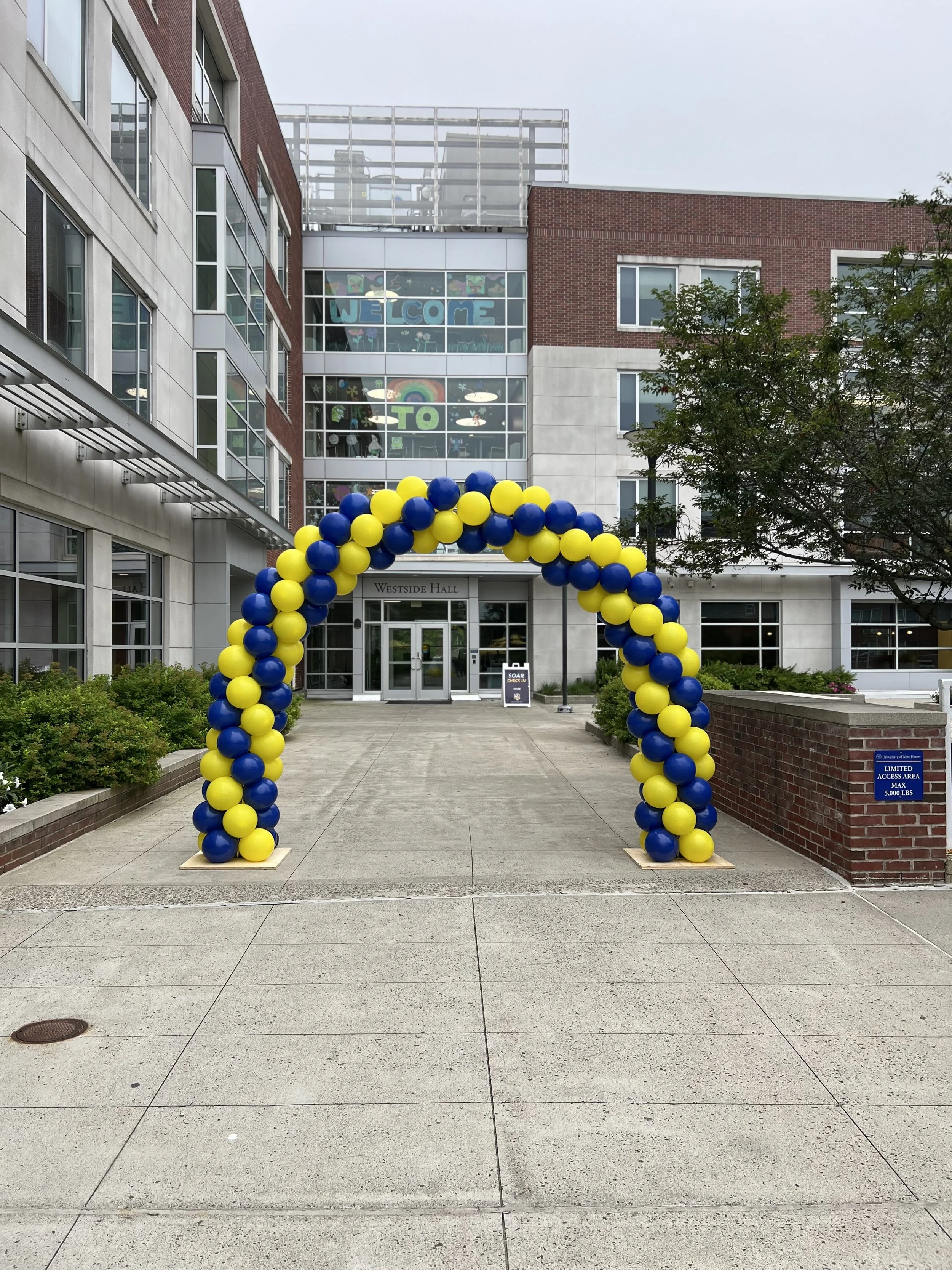 college-balloon-arch-connecticut.jpeg