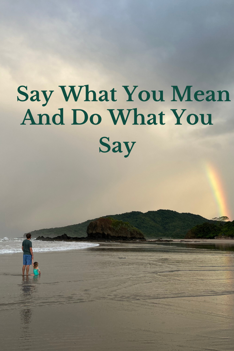 Say What You Mean and Do What You Say