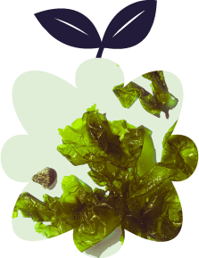 opdrachtgevers pit food concepts - rebelz in food.png