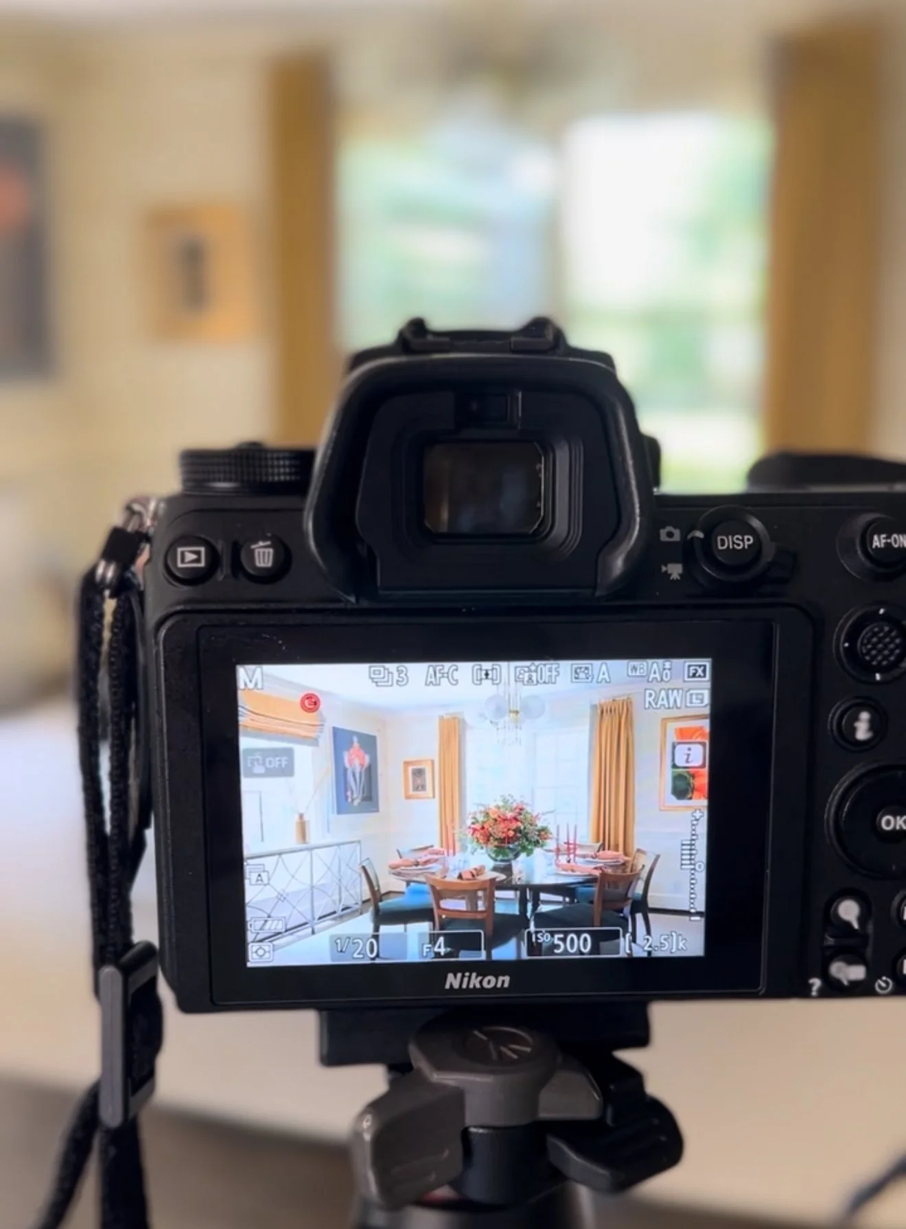Go-To Gear For Beginner Photographers