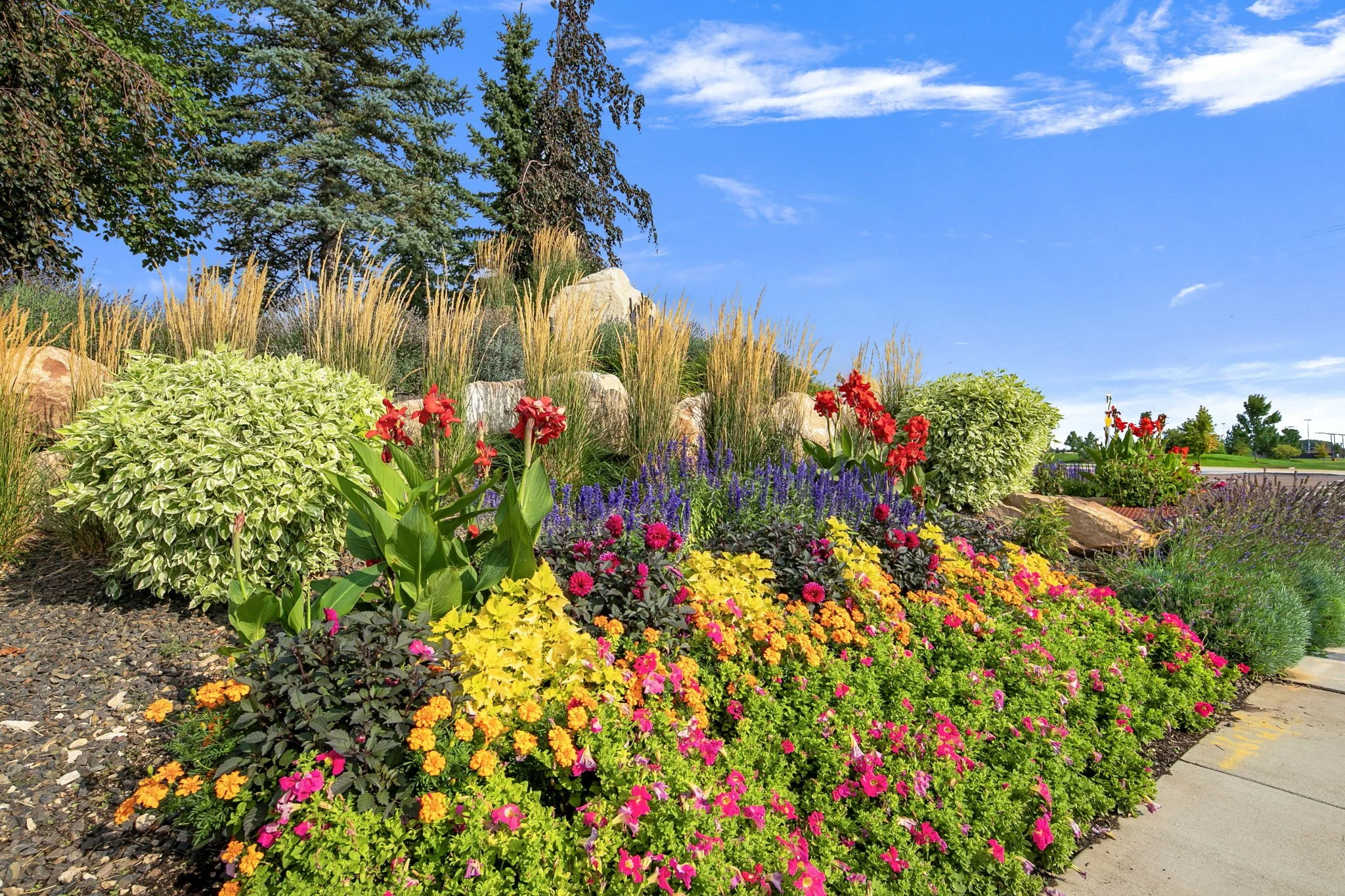 52-web-or-mls-IMG_9198-HDR.jpg