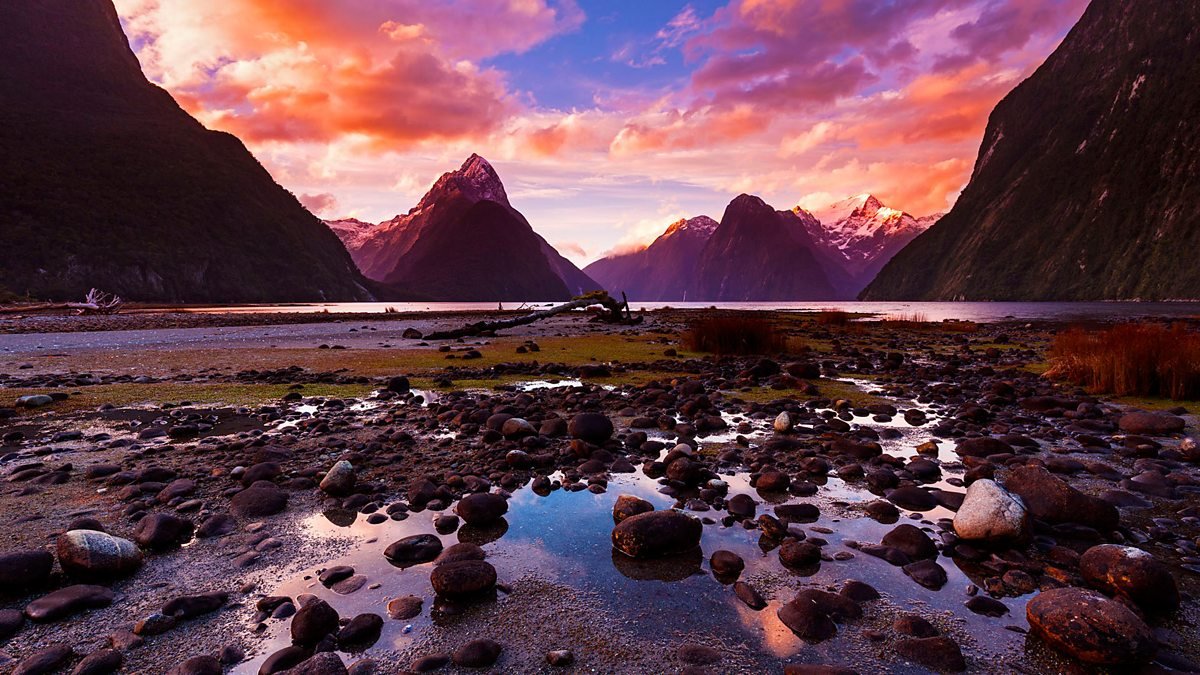 Best Documentaries About New Zealand A Curated List for Enthusiasts — Factual America Podcast