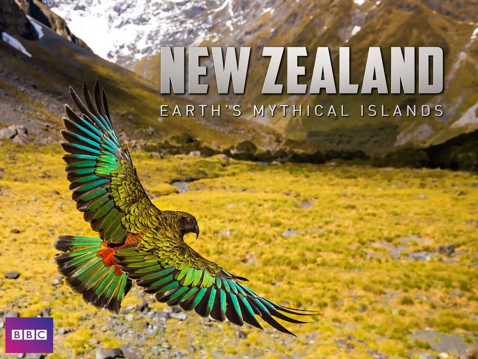 Best Documentaries About New Zealand A Curated List for Enthusiasts — Factual America Podcast