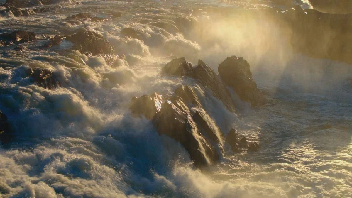 Best Our Episodes to Watch Netflix — Factual America Podcast