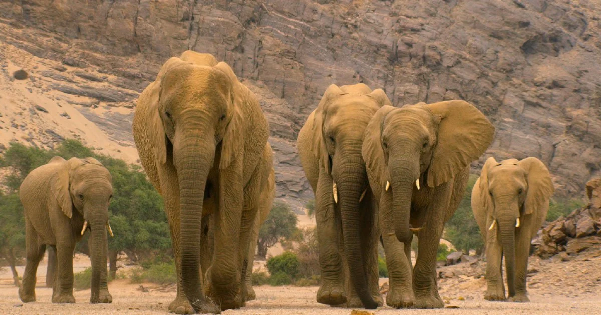 Best Our Episodes to Watch Netflix — Factual America Podcast