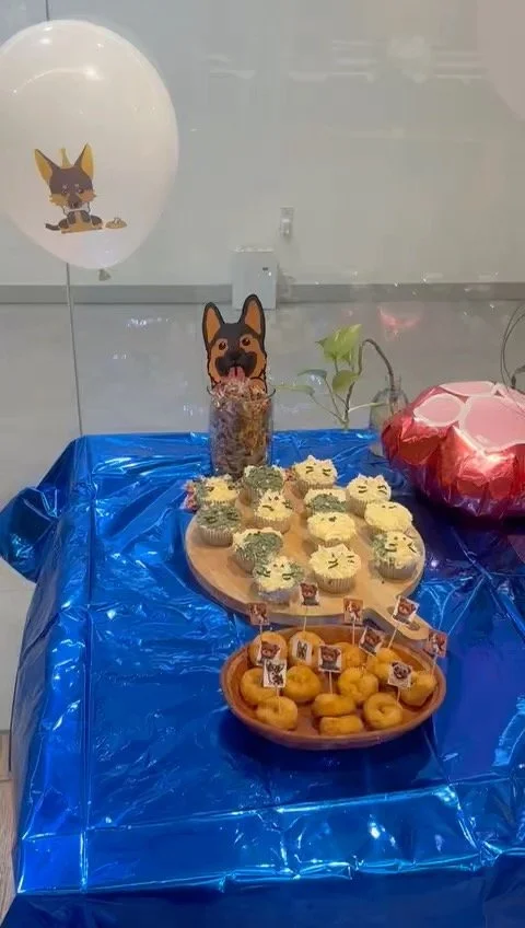 Mexico-Pet-Adoption-Food-Display.jpeg