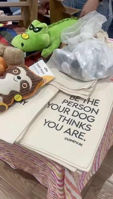 Mexico-Pet-Adoption-Merchandise.jpeg