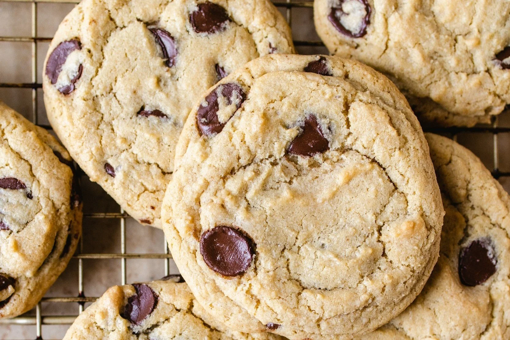 Tampa - Cookie & Ice Cream Social