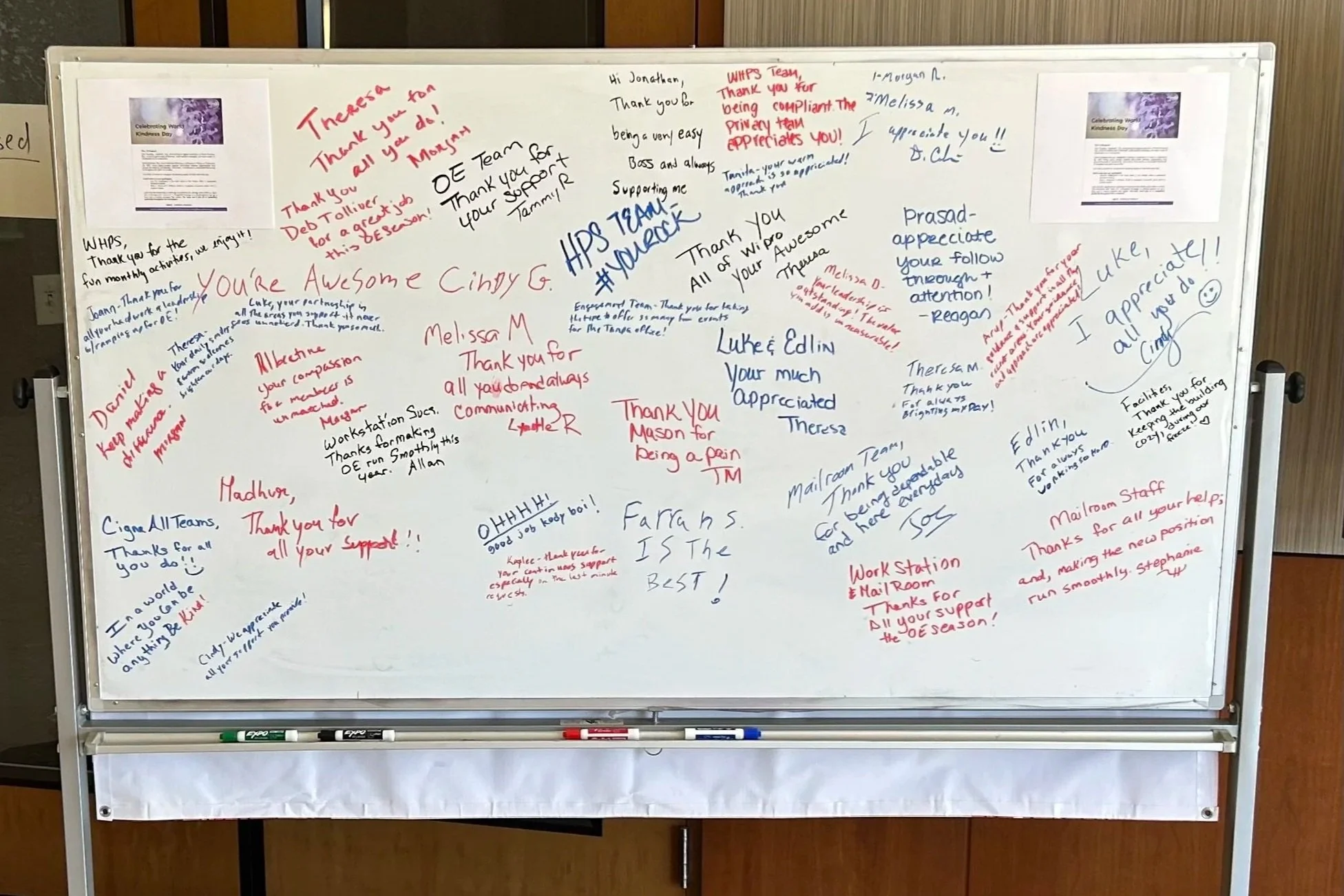 Tampa Celebrates World Kindness Day