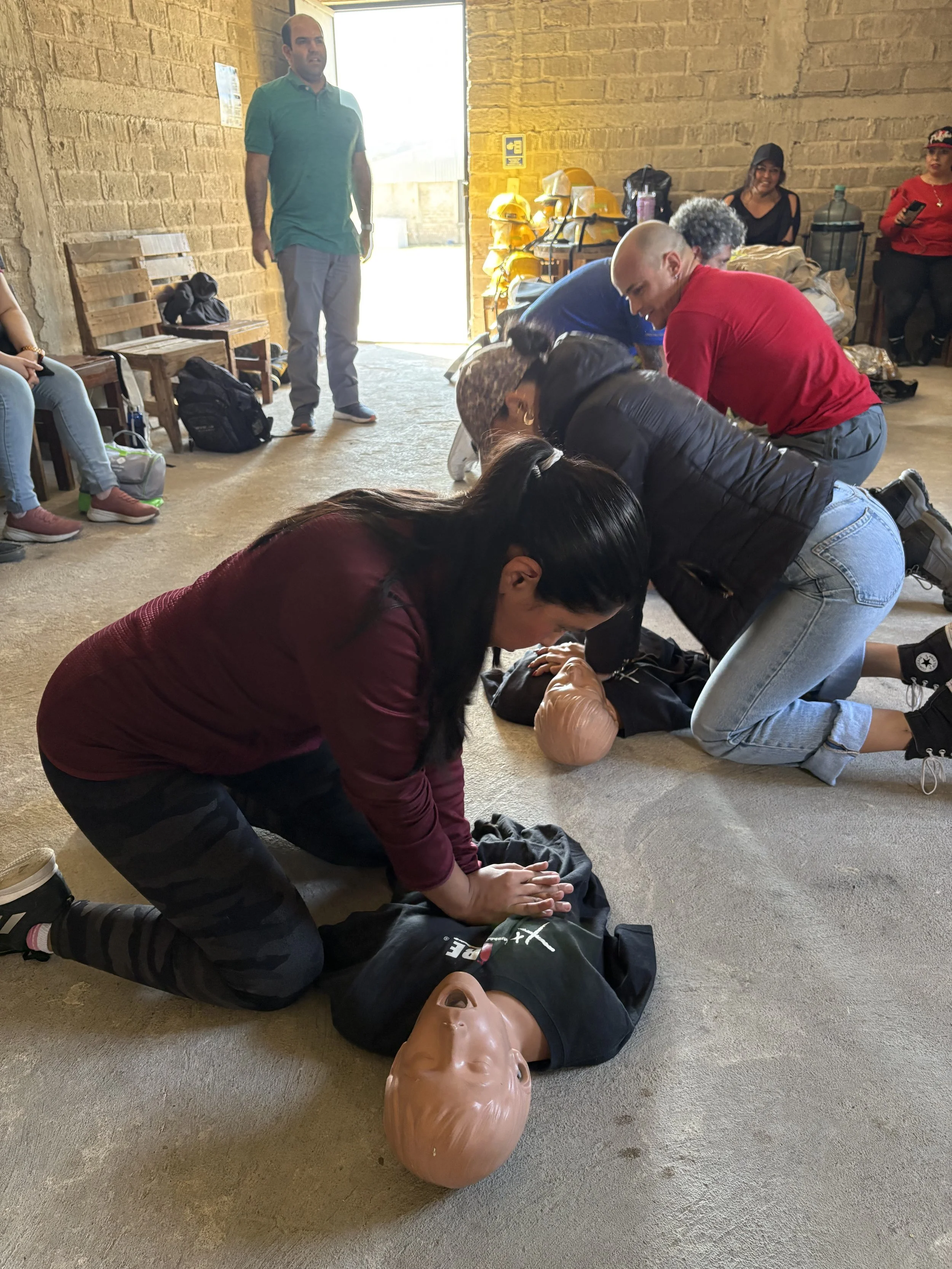 Image - 2025-11-20T125134.946 (1).jpg