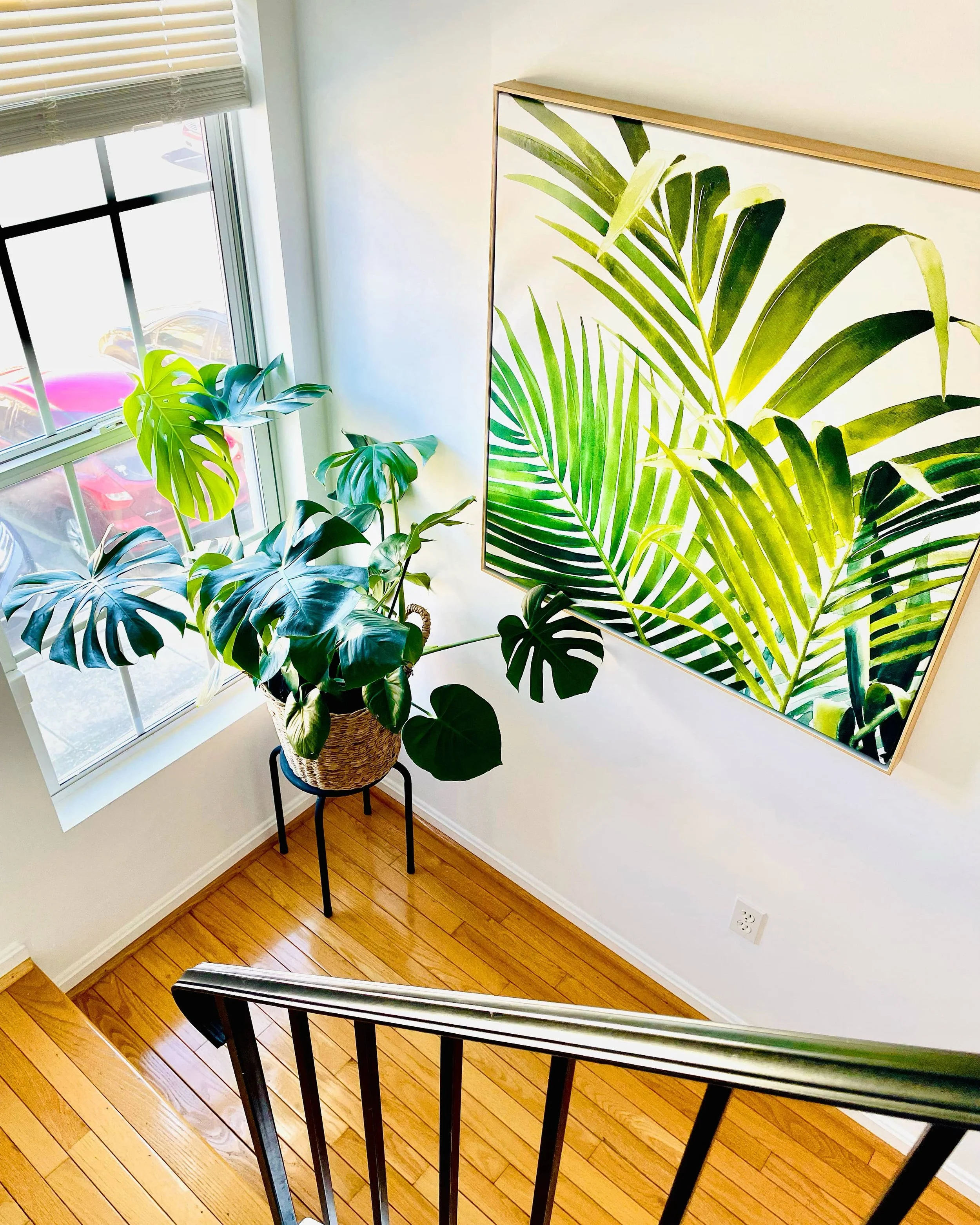 Interior of a home with hardwood flooring, a staircase with black railing, a corner window with blinds, a large potted monstera plant, and a framed print of tropical leaves on the wall.