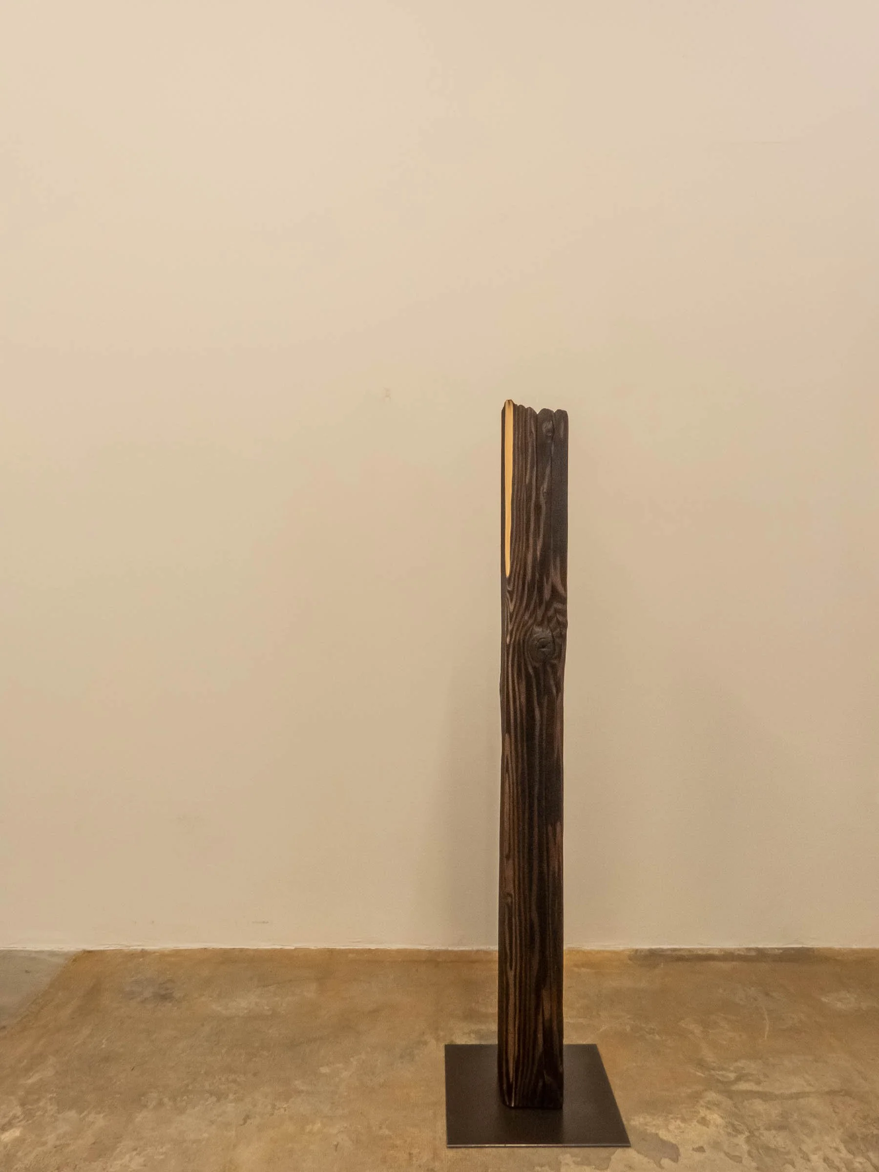 _Hisa Ota Japanese Color Presence 1 1010402.jpg