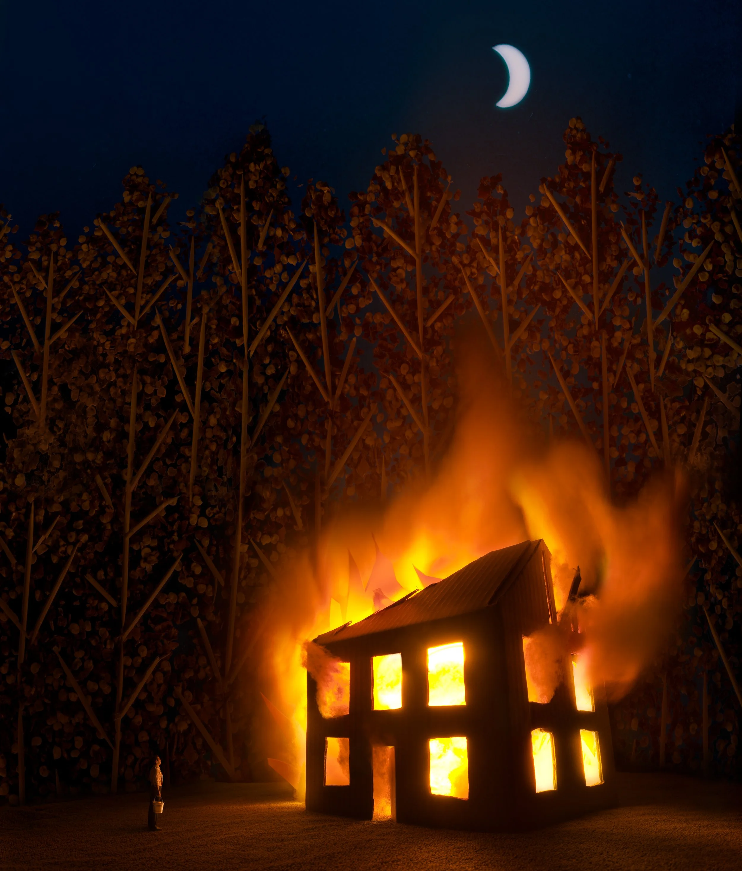 The Persistence of Fire.jpg