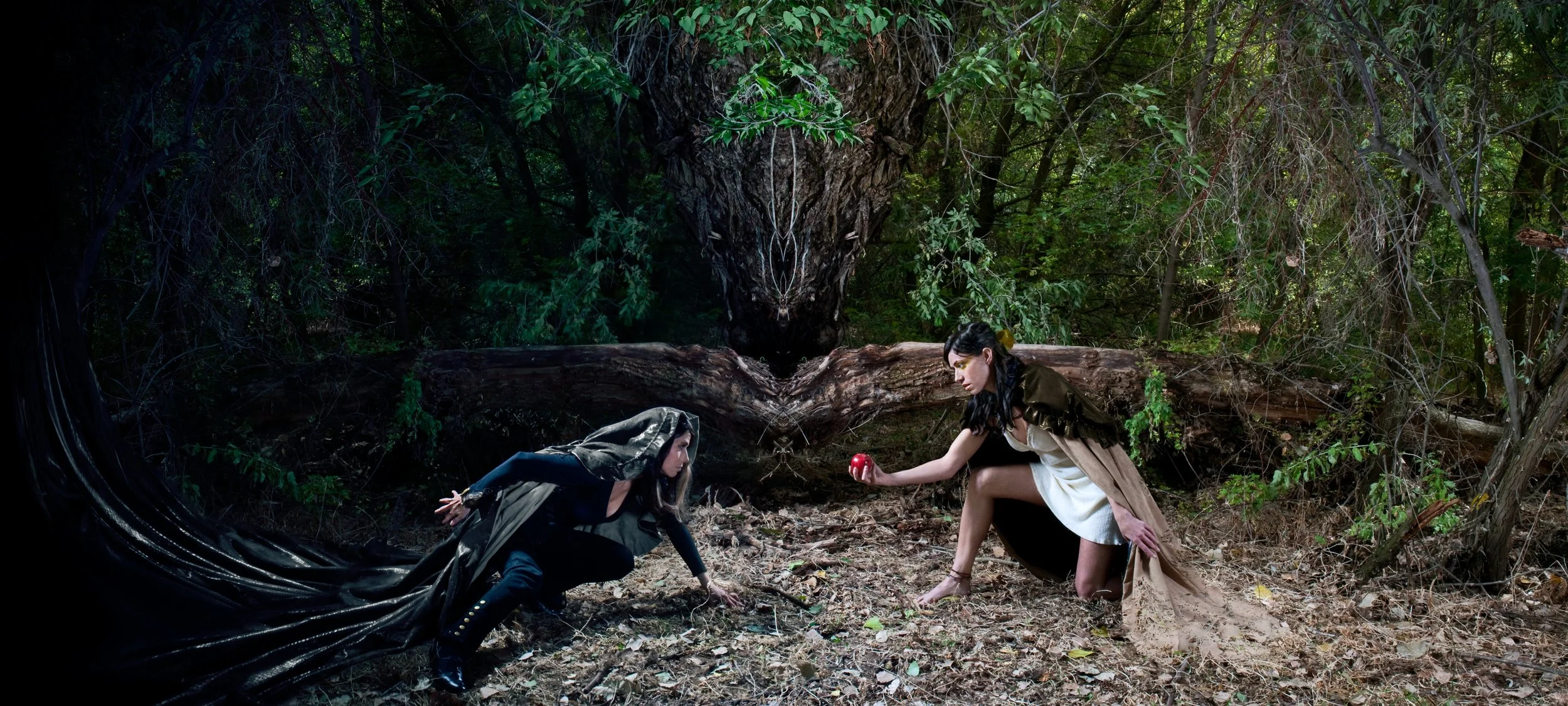 Paradise Lost.jpg