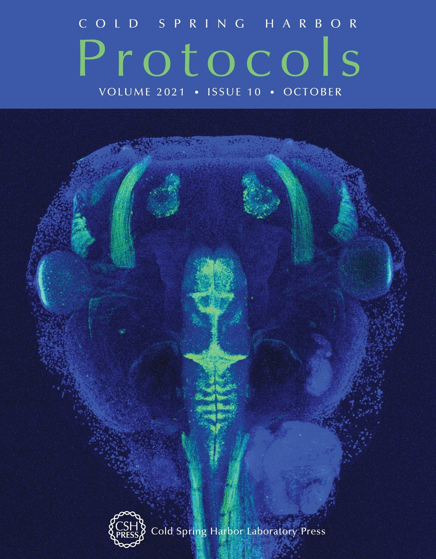 Protocols_2021_10_coverfig.jpg
