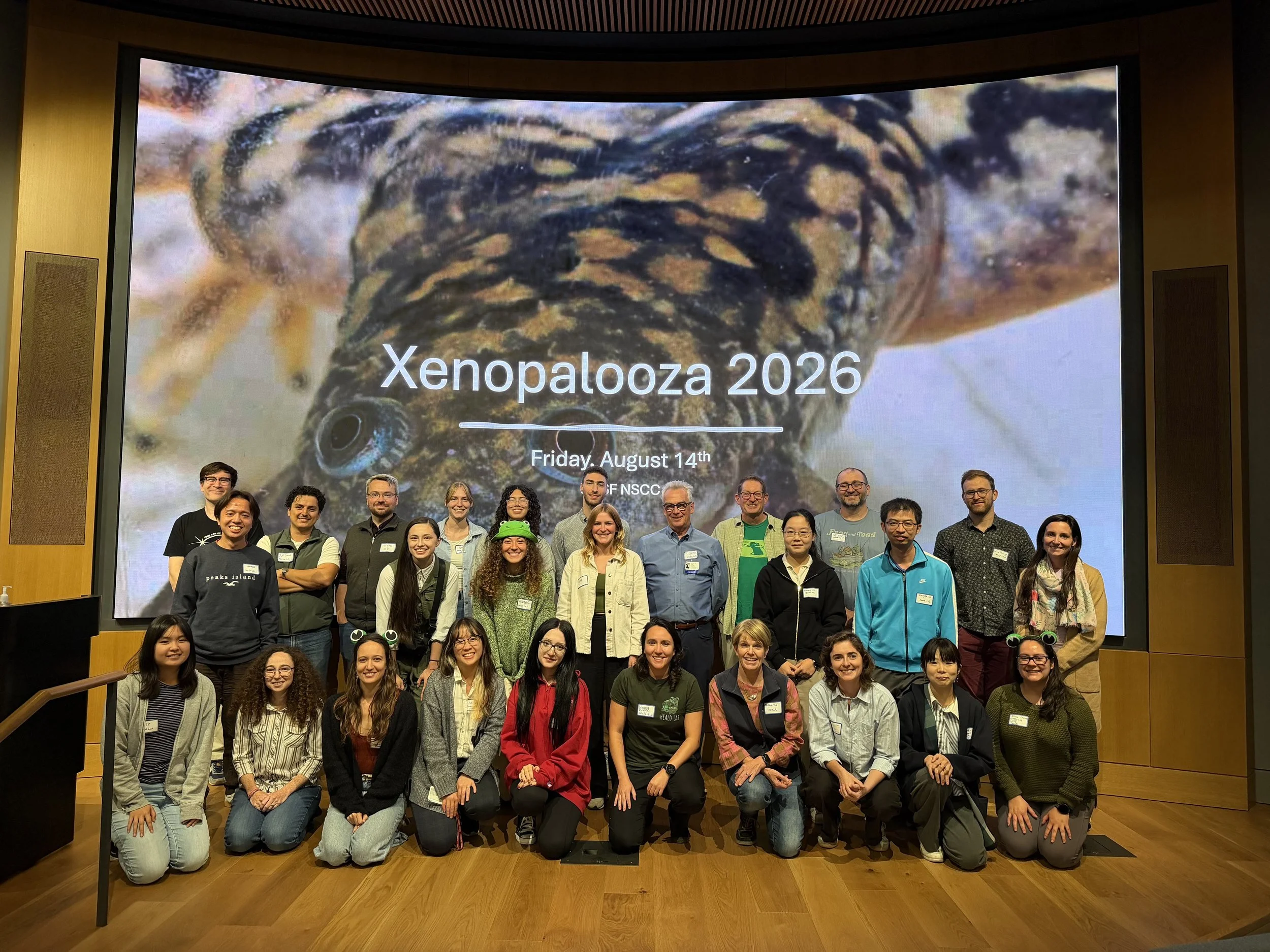 Xeno 2026