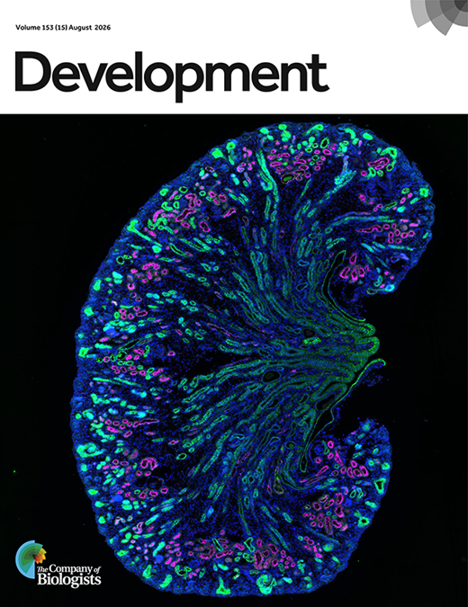 dev cover