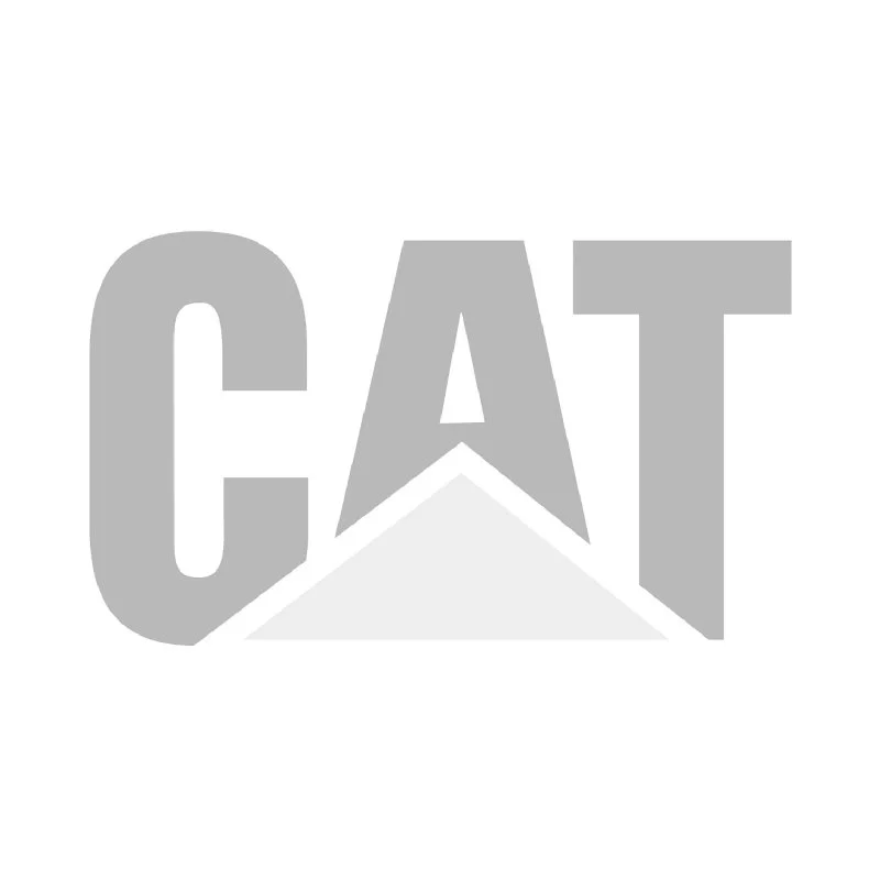 CAT.jpg