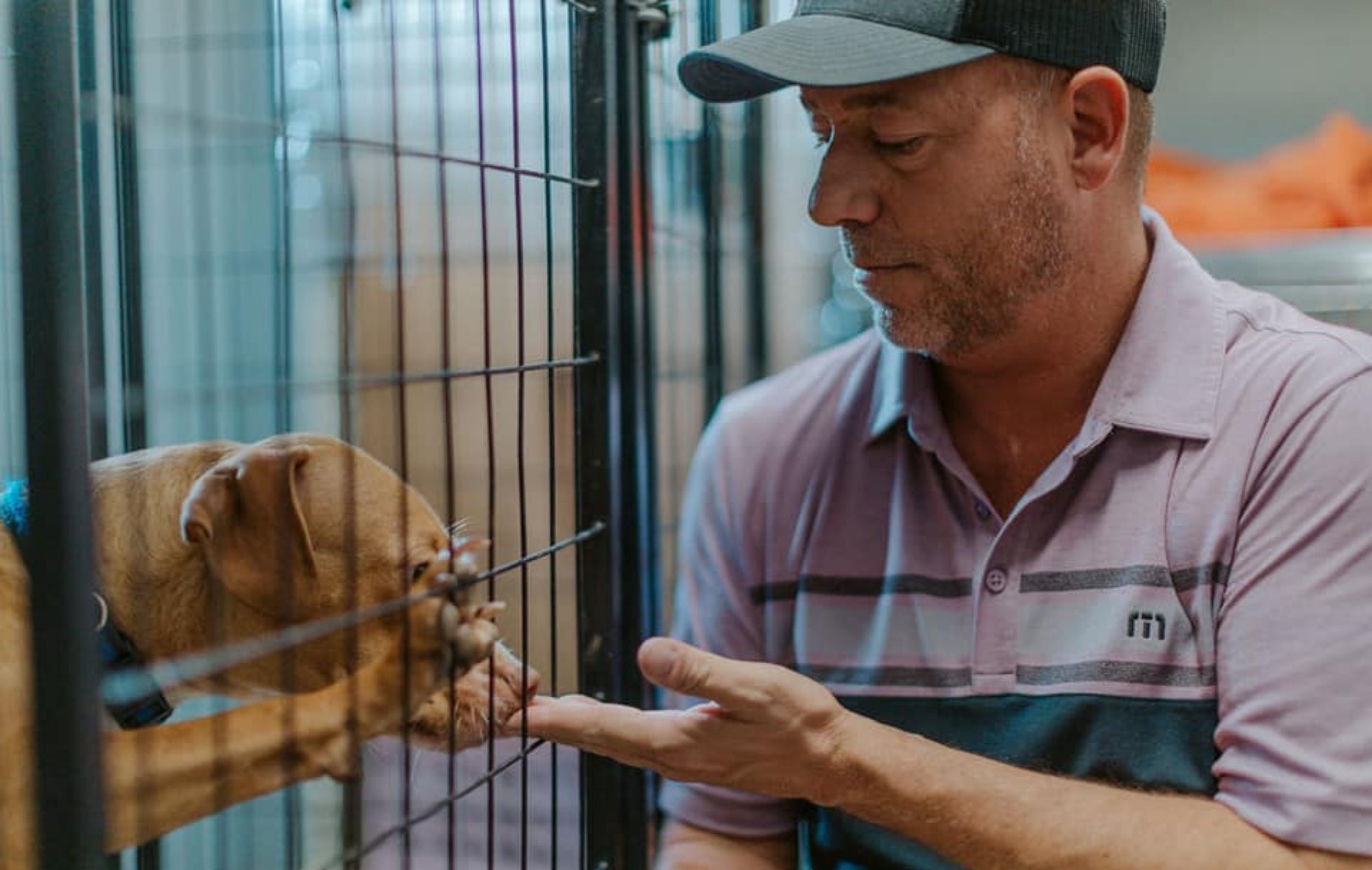 The Adoption Diaries — On A Mission KC