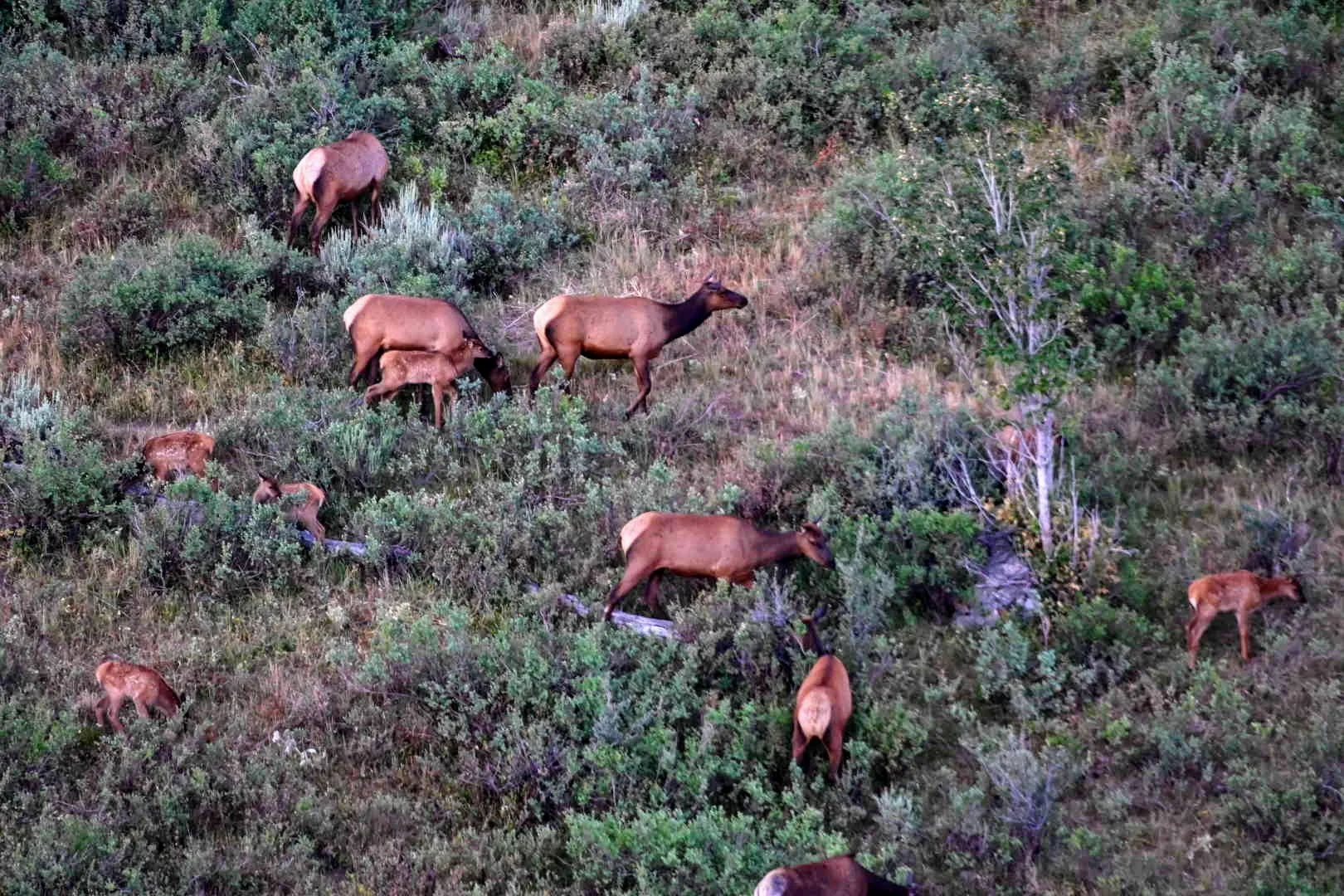 DSC_1416.JPG
