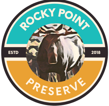Rocky Point Preserve