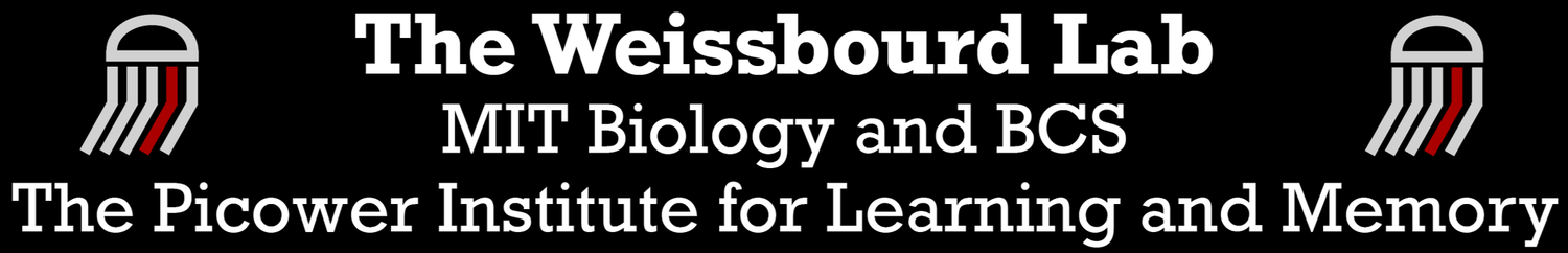 Weissbourd Lab | MIT Biology and The Picower Institute for Learning and Memory