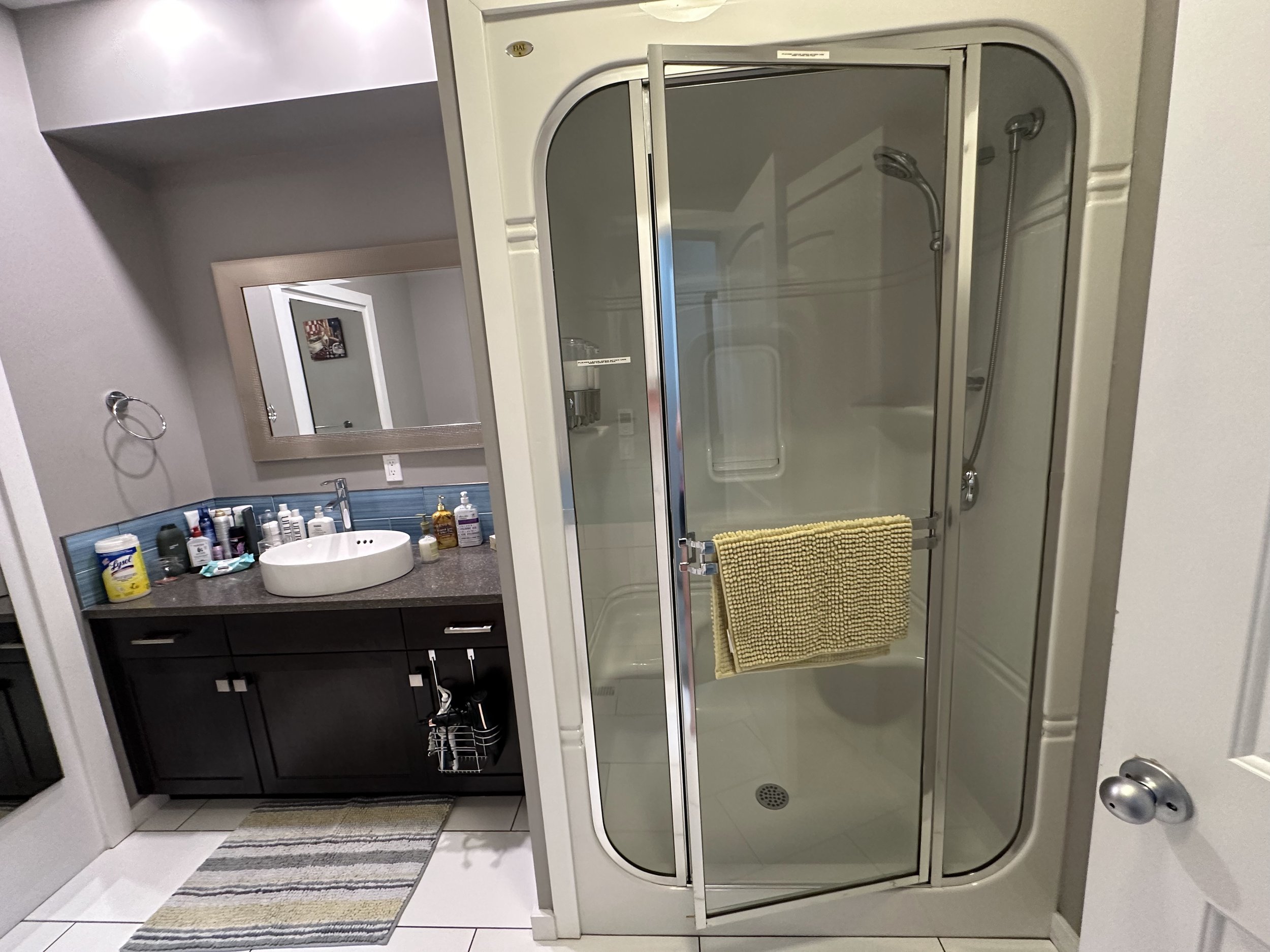 Shared Lower Level Bathroom