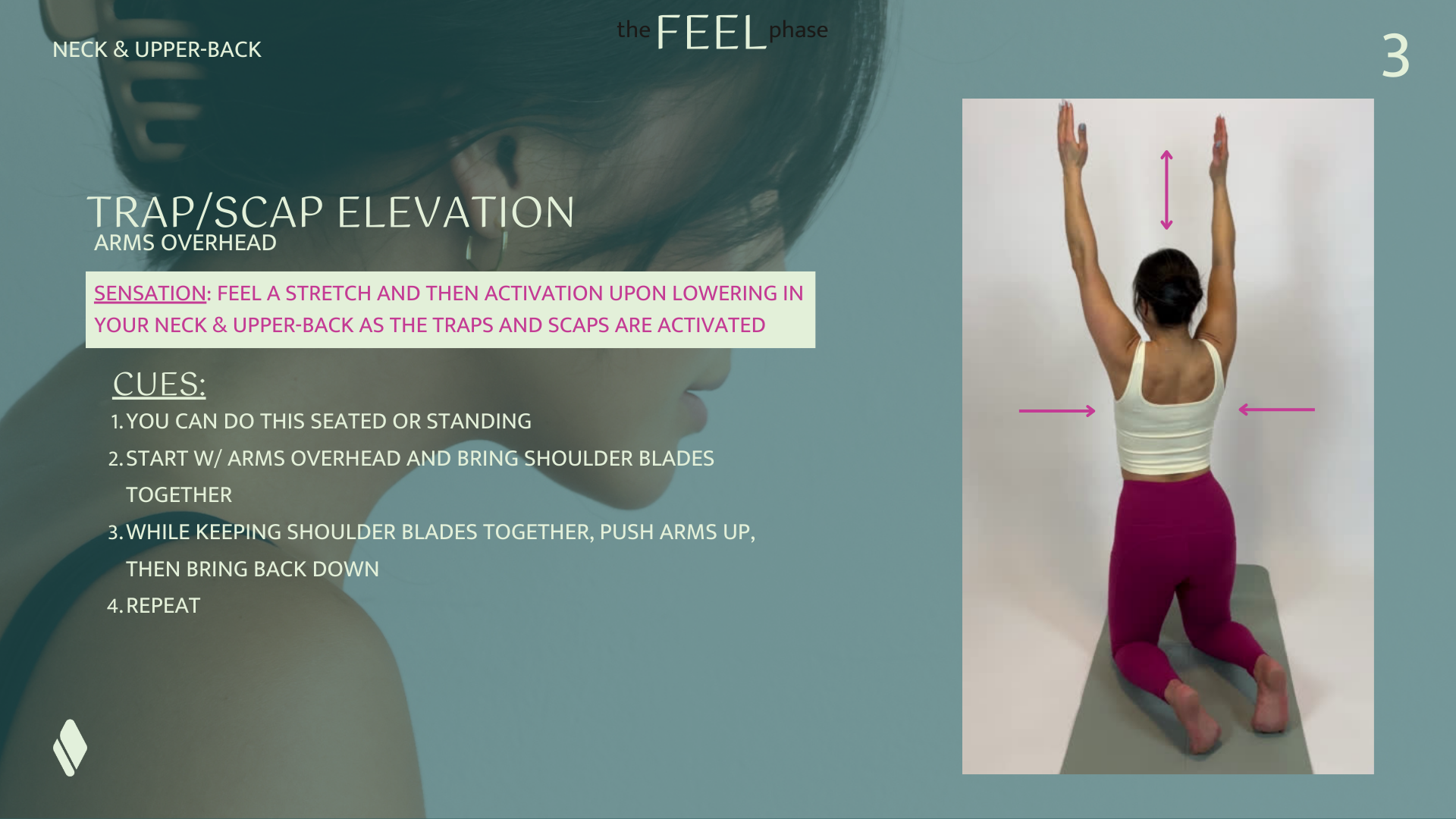 FEEL. NECKUPPER-BACK.png.PNG