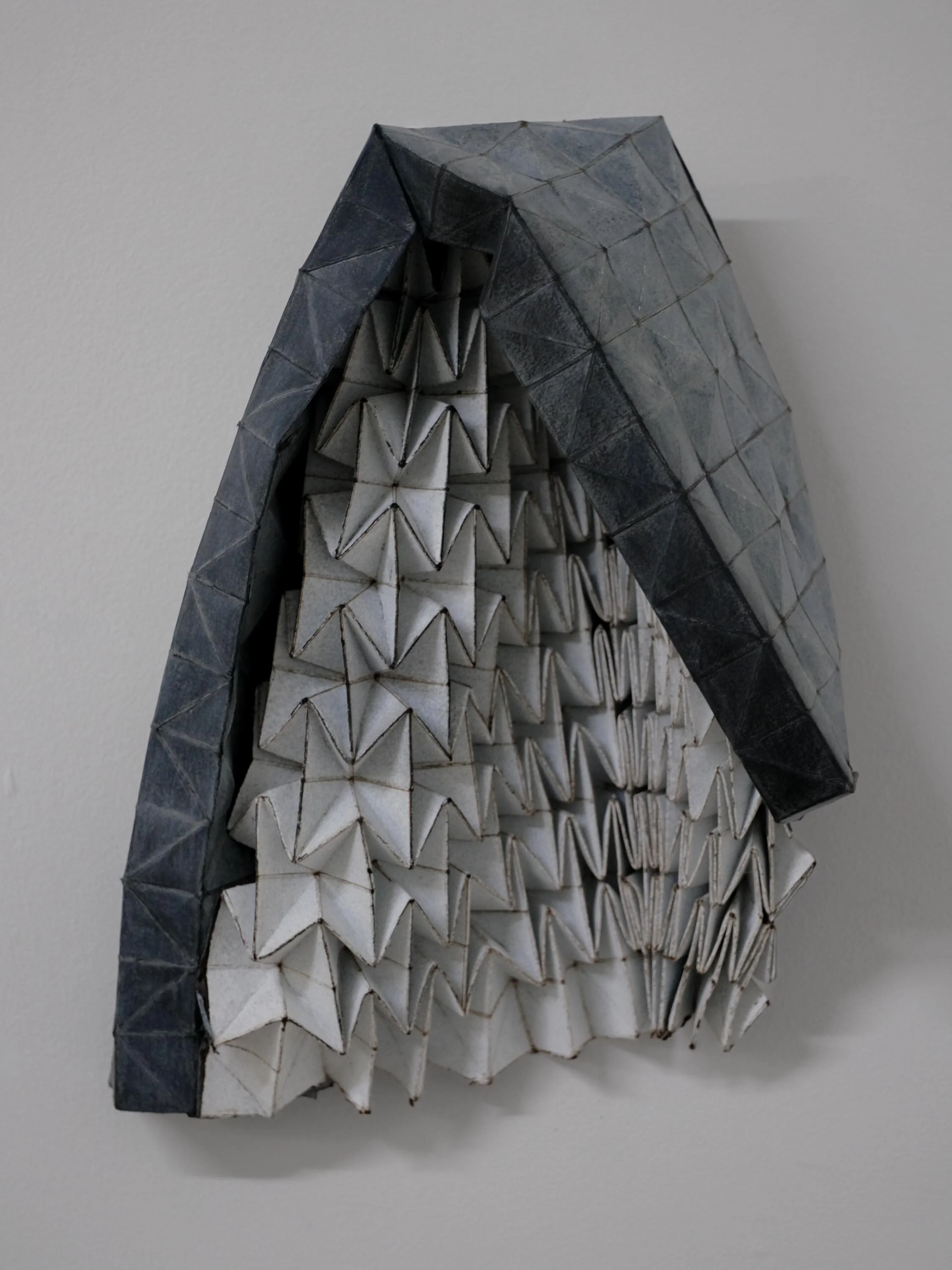 Husk no.1 - 360x280x180mm.jpg