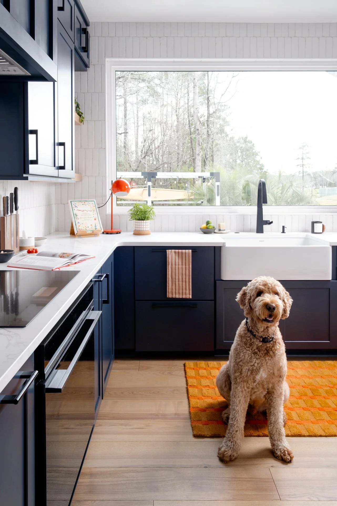 A modern kitchen with navy blue cabinets, a white countertop, a large window, and a dog sitting on a colorful orange and yellow rug.