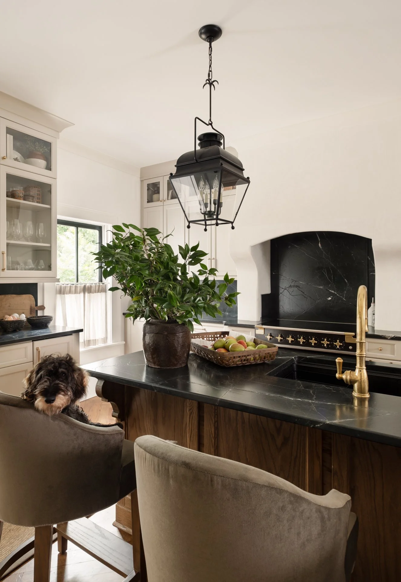A kitchen with a black marble island, a large green potted plant, a basket of apples, and a dog sitting on a chair.