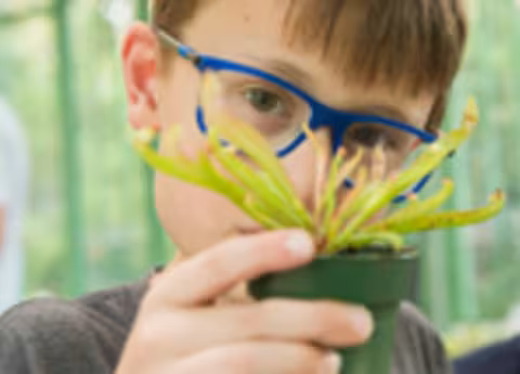 The Strange and Unusual World of Carnivorous Plants