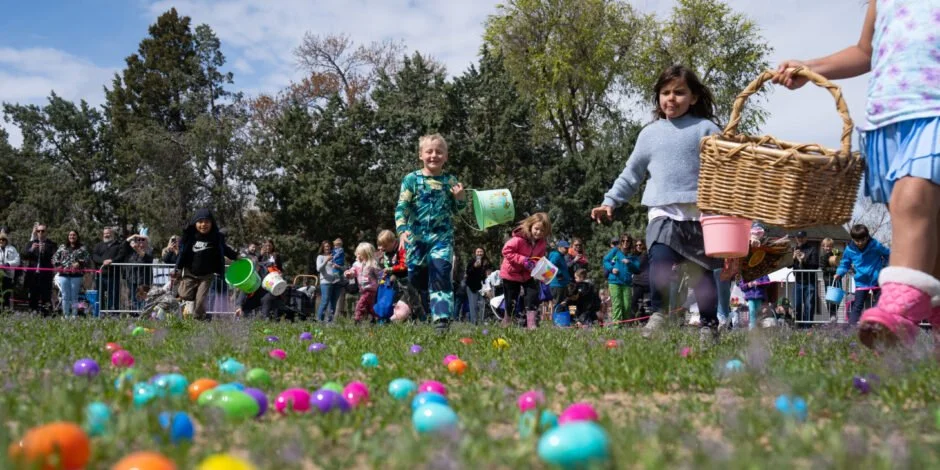 Family Egg Hunt
