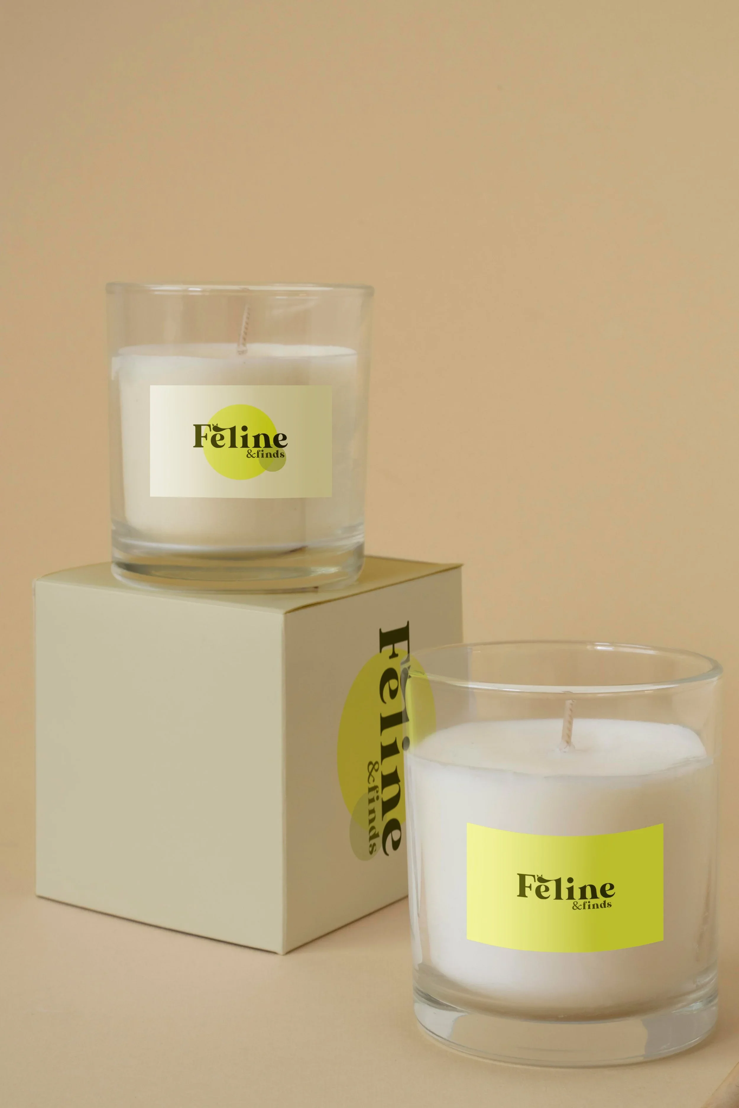 Package Branding Design (Personal Project)