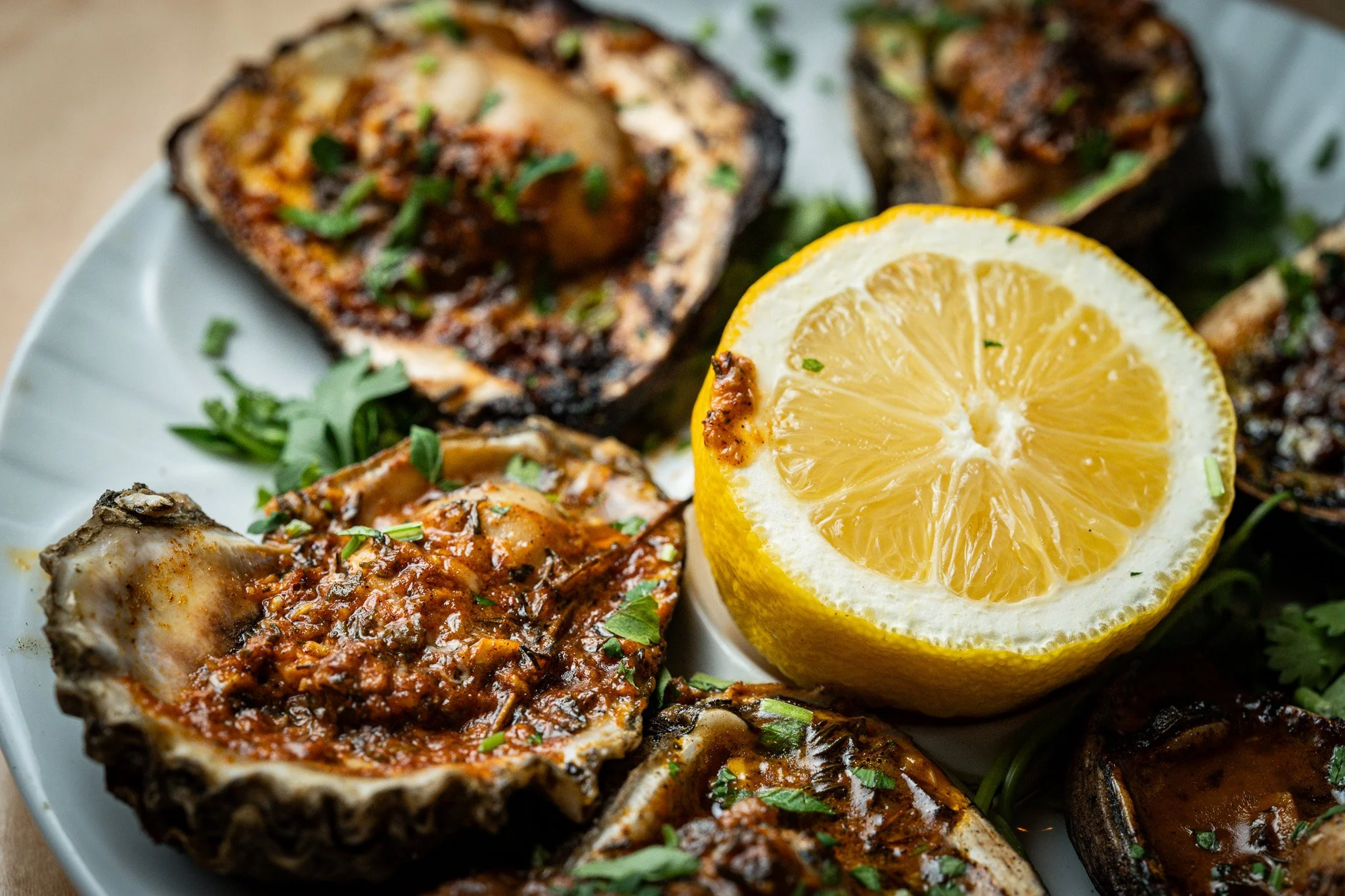 Charbroiled oysters at Brother Fox, Pensacola