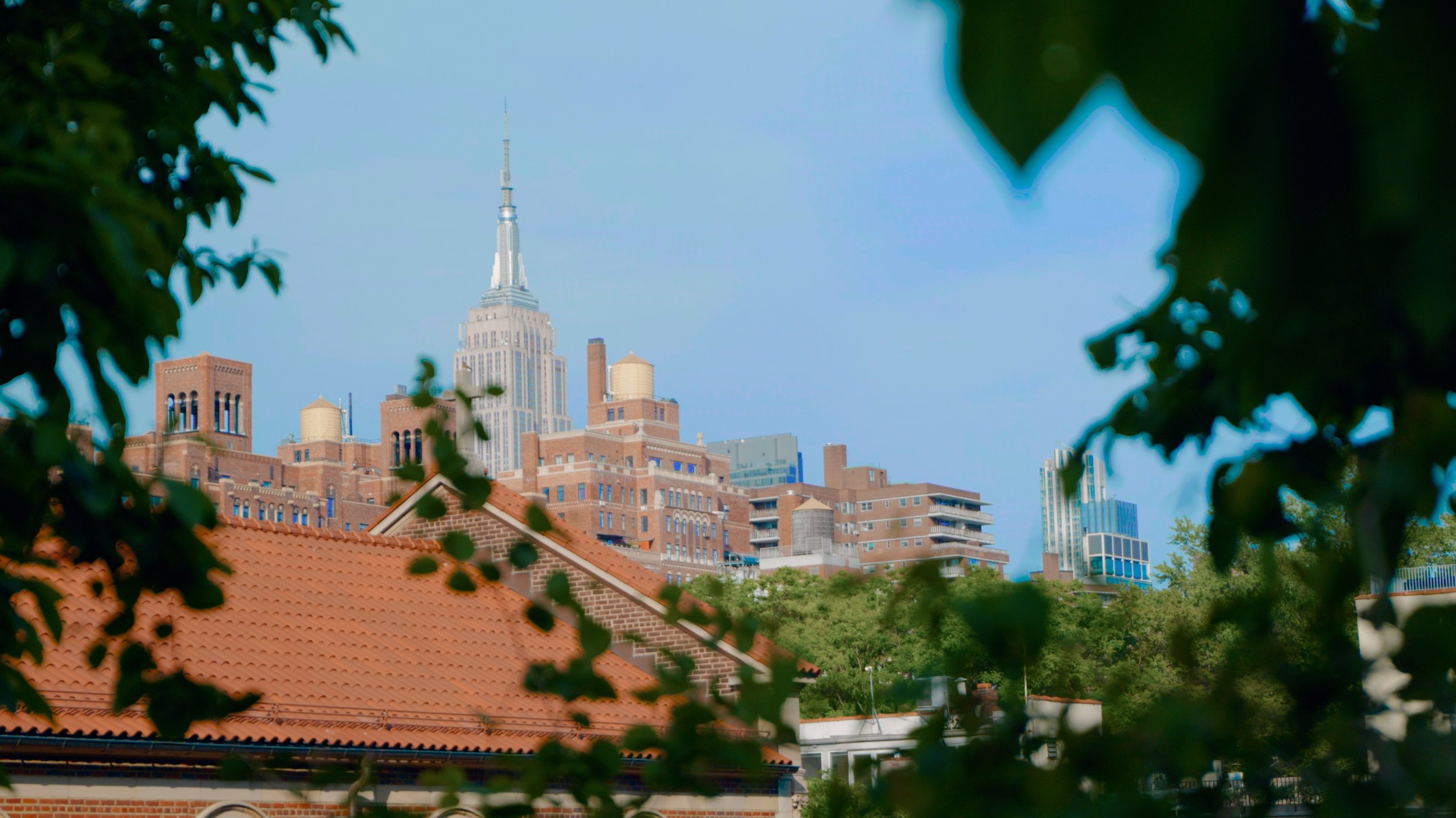 City skyline seen through trees. Still from Priced Out of Paradise, a Hawaii housing documentary directed by Annie and Sam Menendez