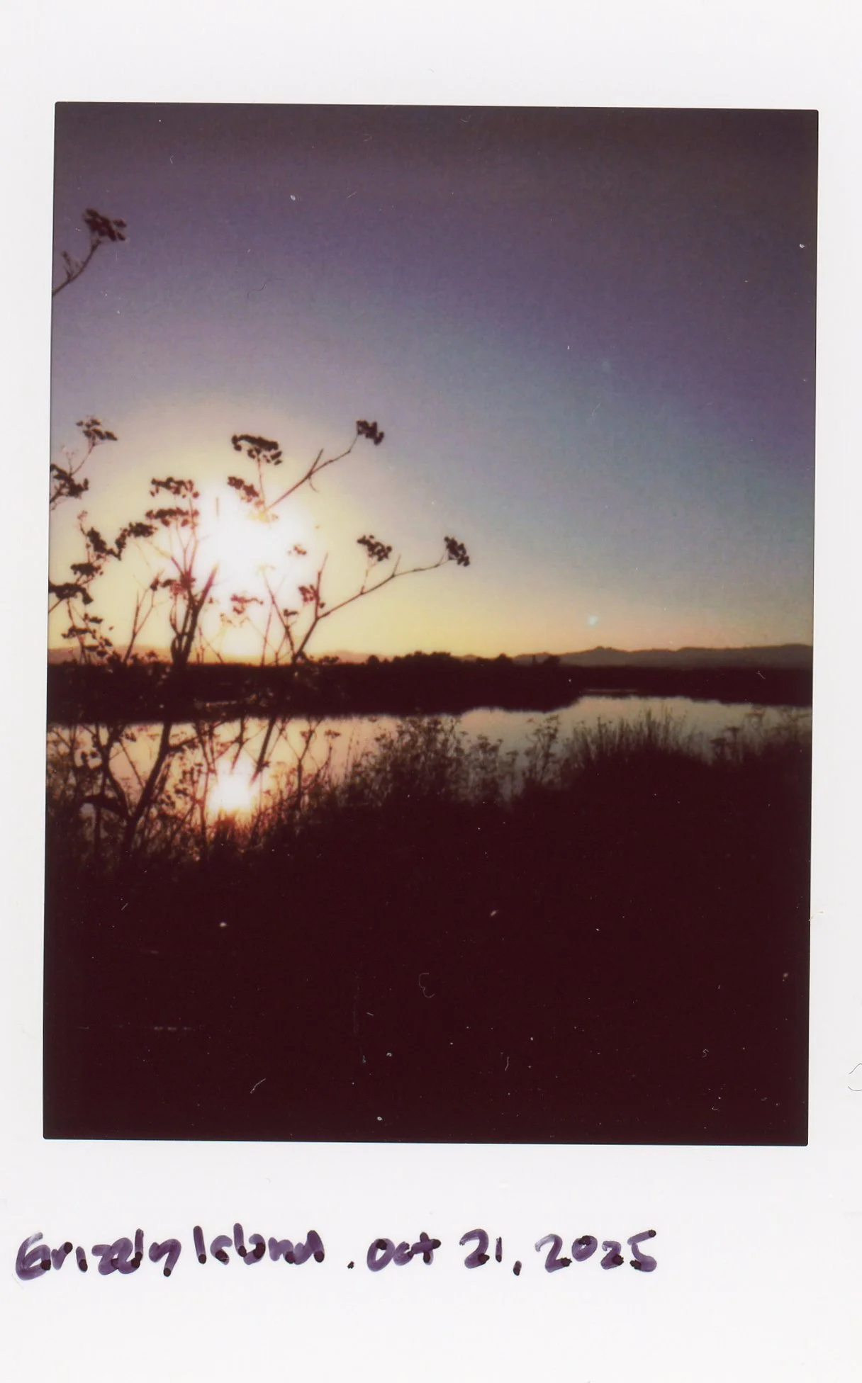 Instax0014.jpg