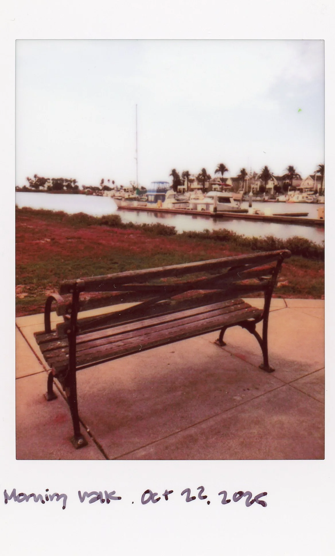 Instax0012.jpg