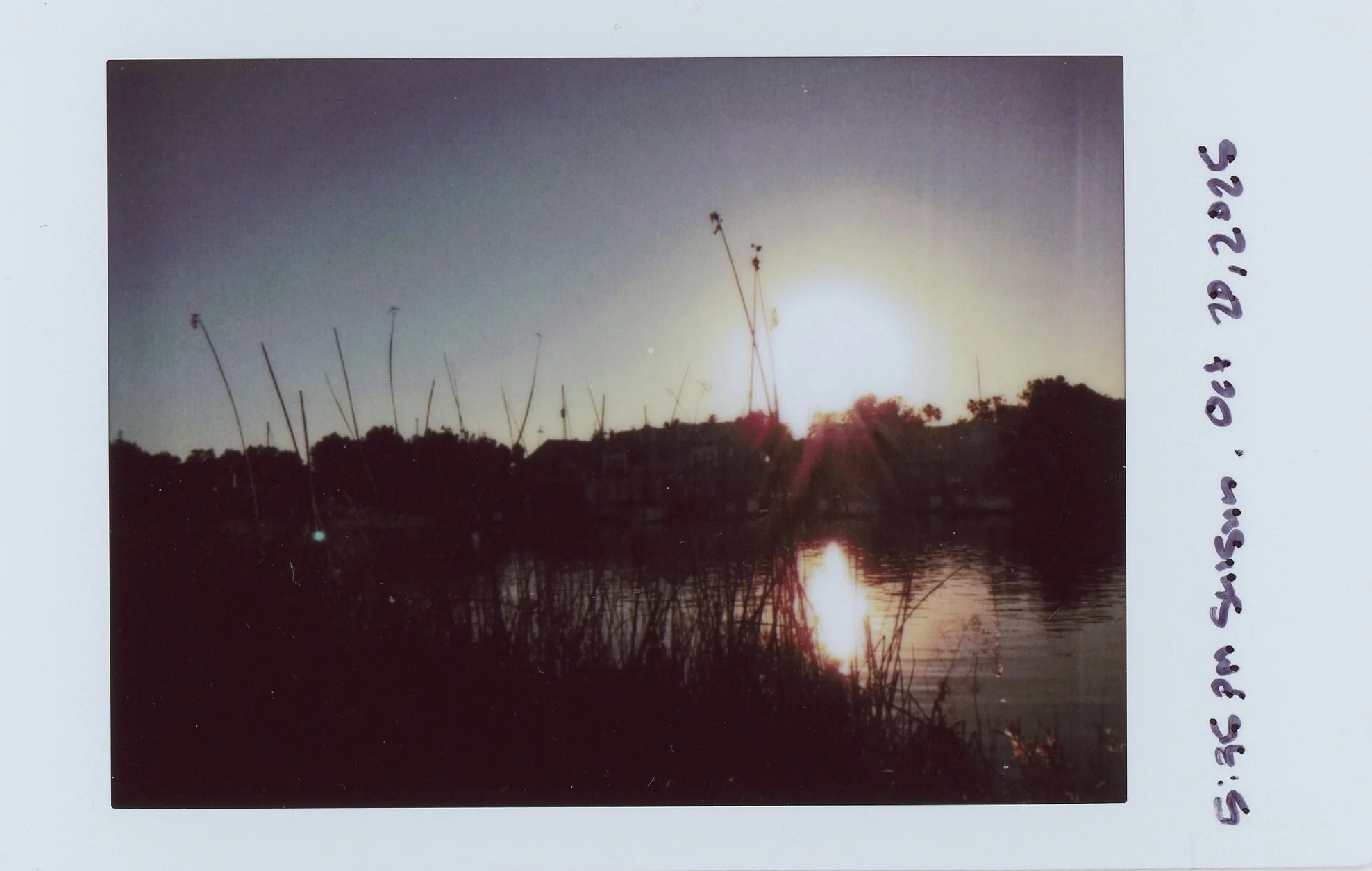 Instax0011 3.jpg