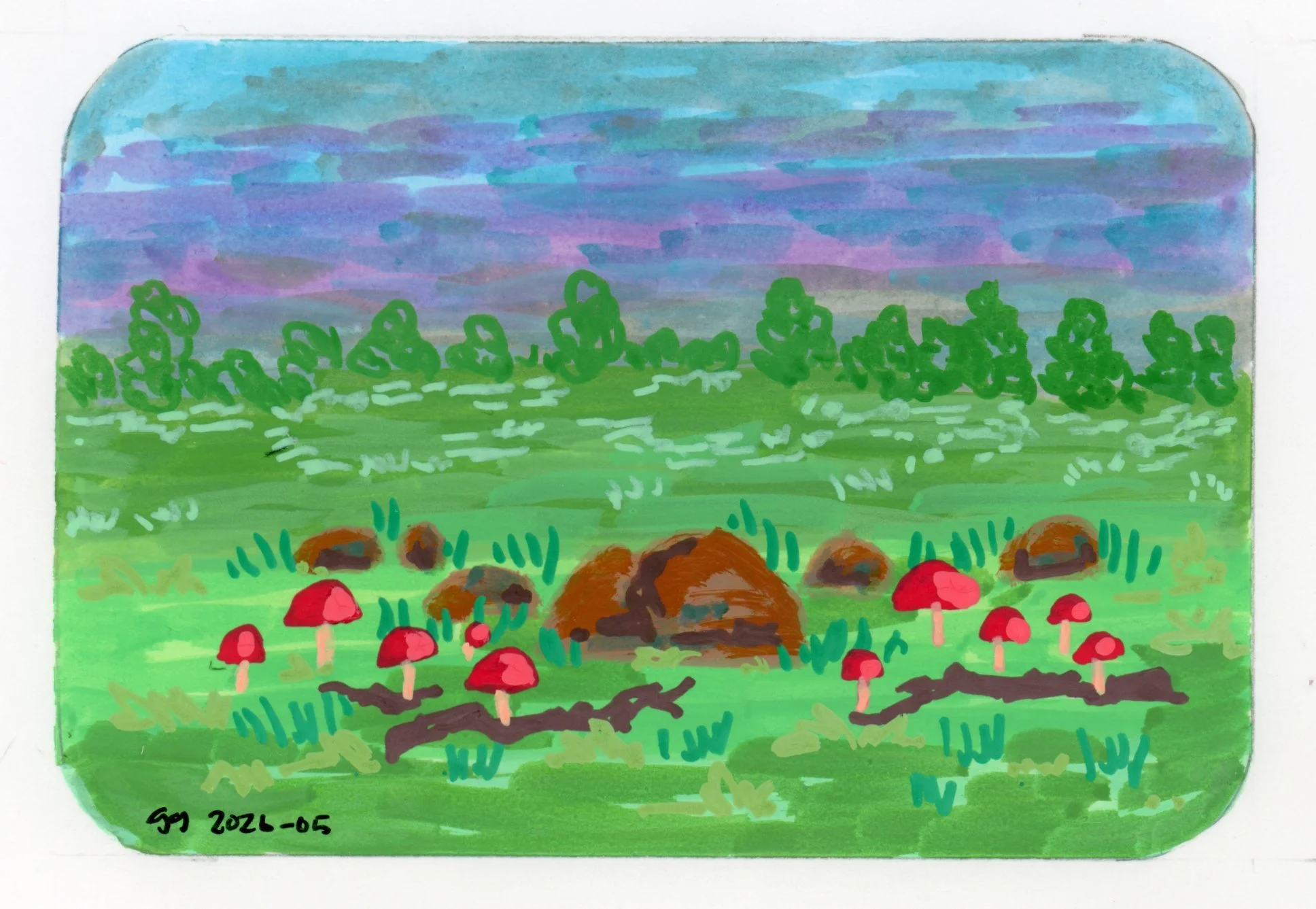 mushroom box01.jpg