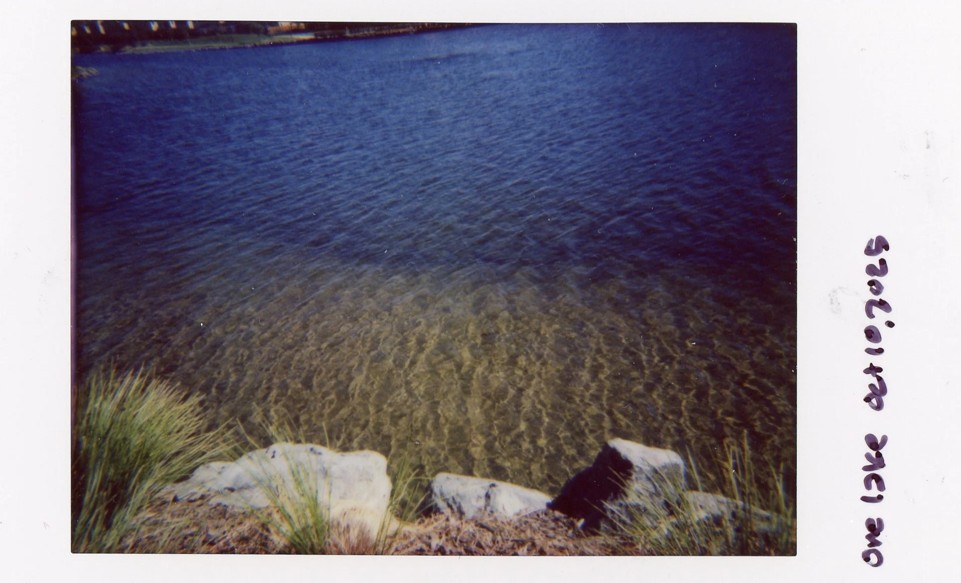 Instax0004.jpg