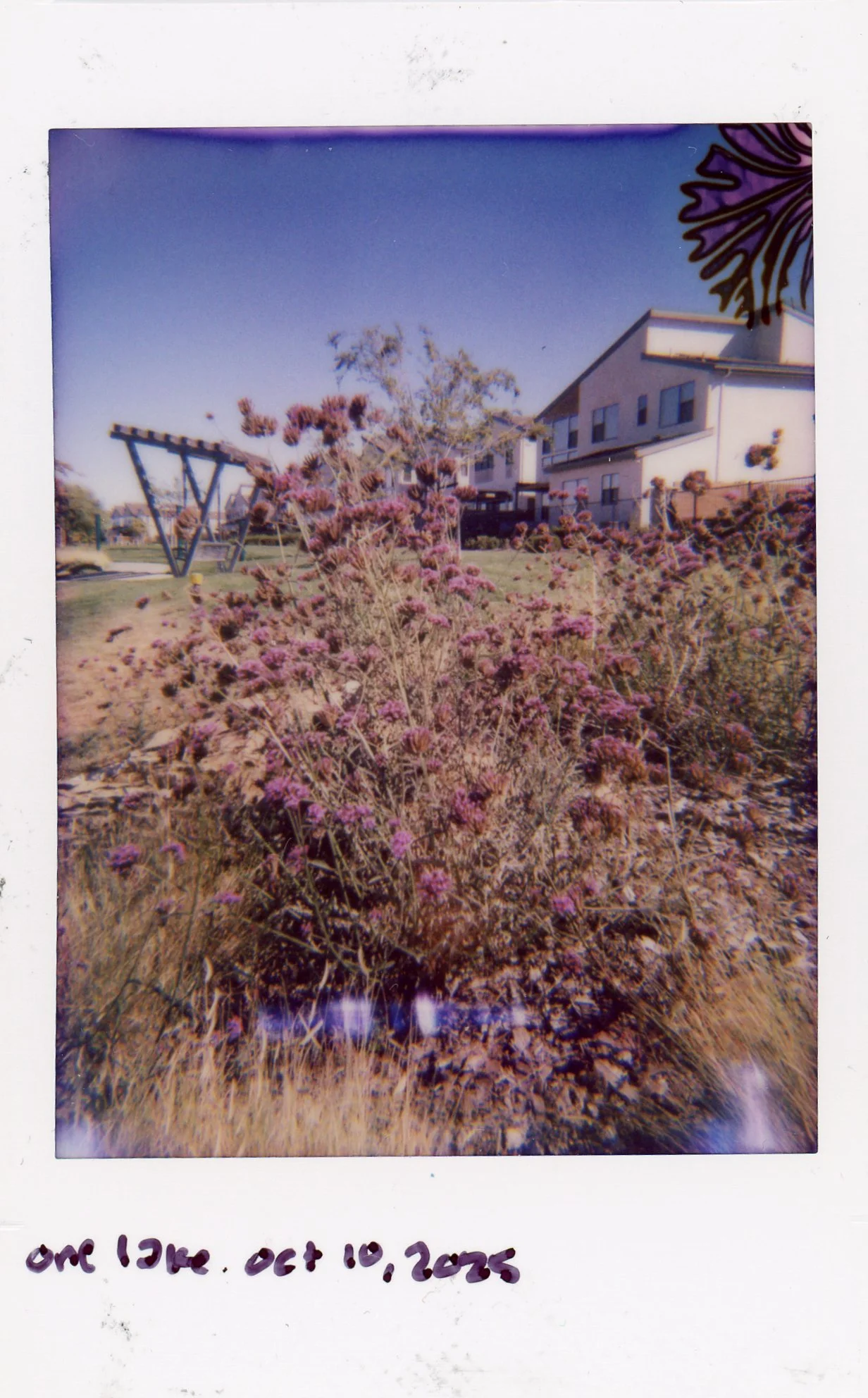 Instax0002.jpg