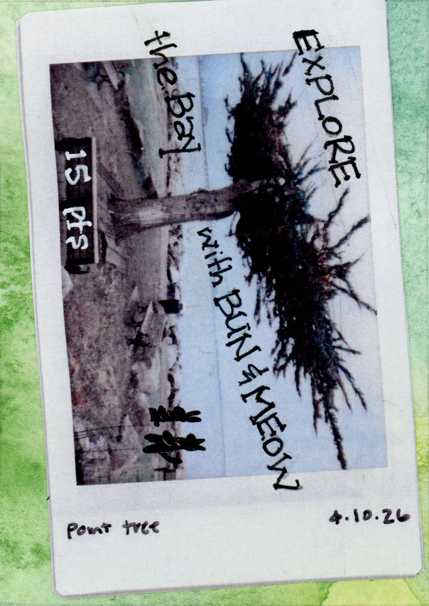 ATC project 5.jpg
